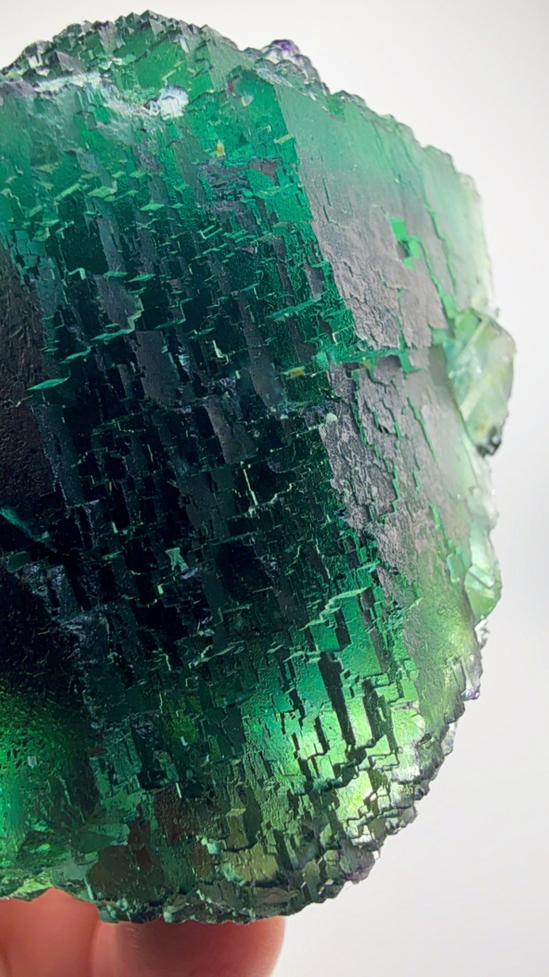 Large Okorusu Cube Fluorite. ONE CUBE. ENDLESS DEPTH.