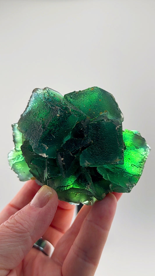 Awesome Okorusu Fluorite EMERALD FIRE FROM THE NAMIBIAN DESERT.