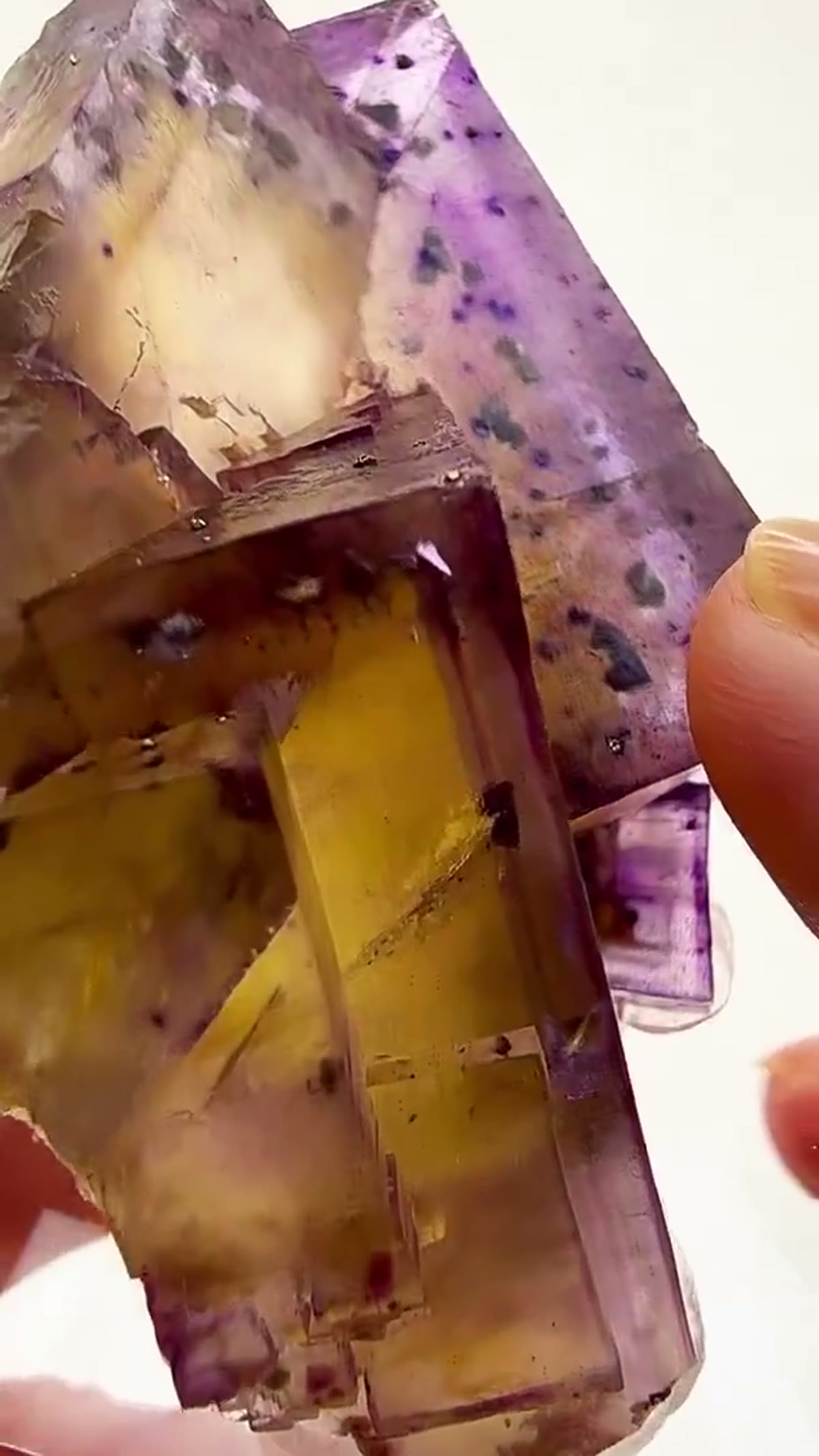 Fluorite Specimen from Annabel Lee Mine, Illinois: Classic Illinois Perfection - view 2