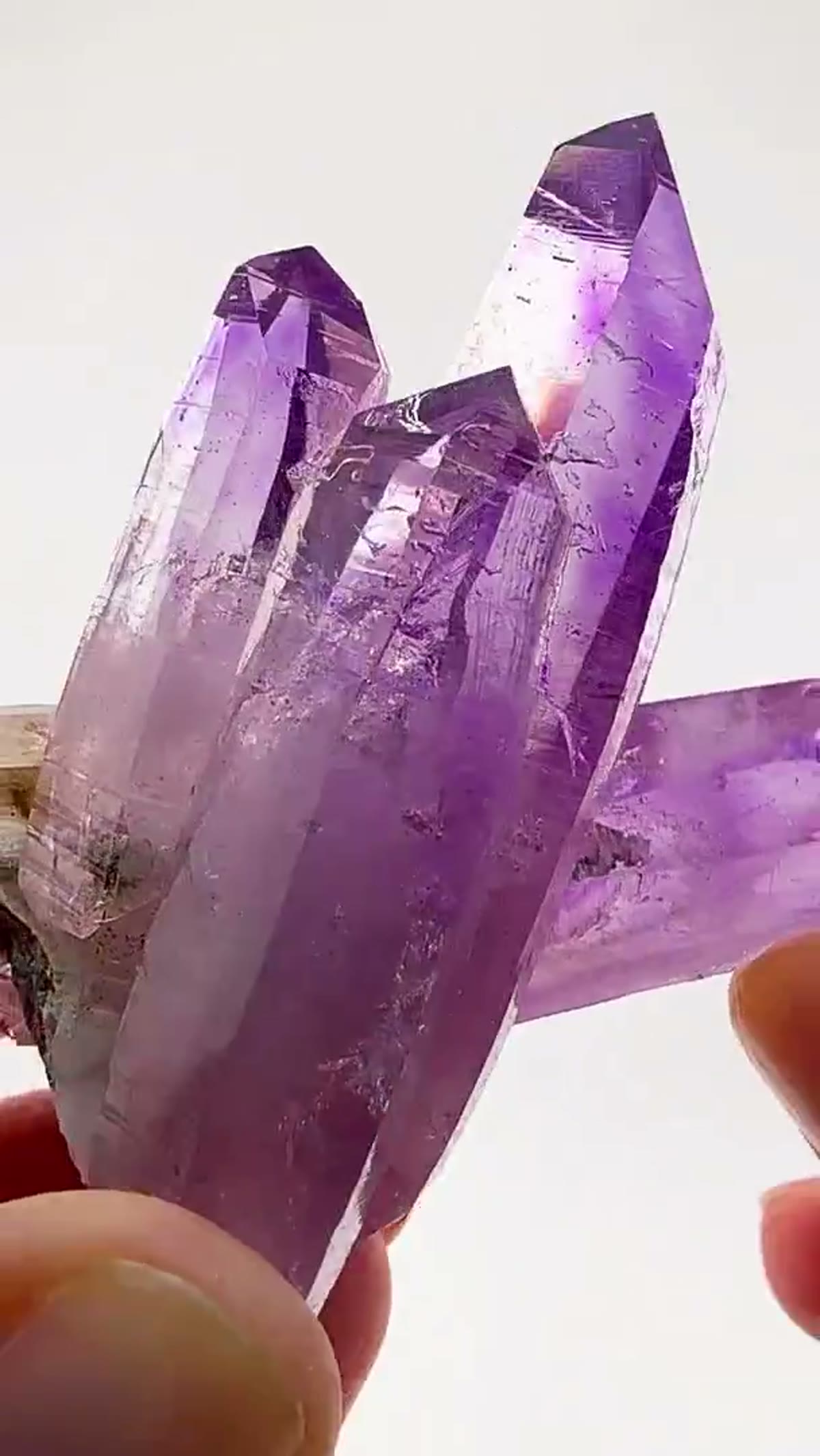 Amethyst Specimen from Mexico: Supersaturated perfection from Veracruz - view 2