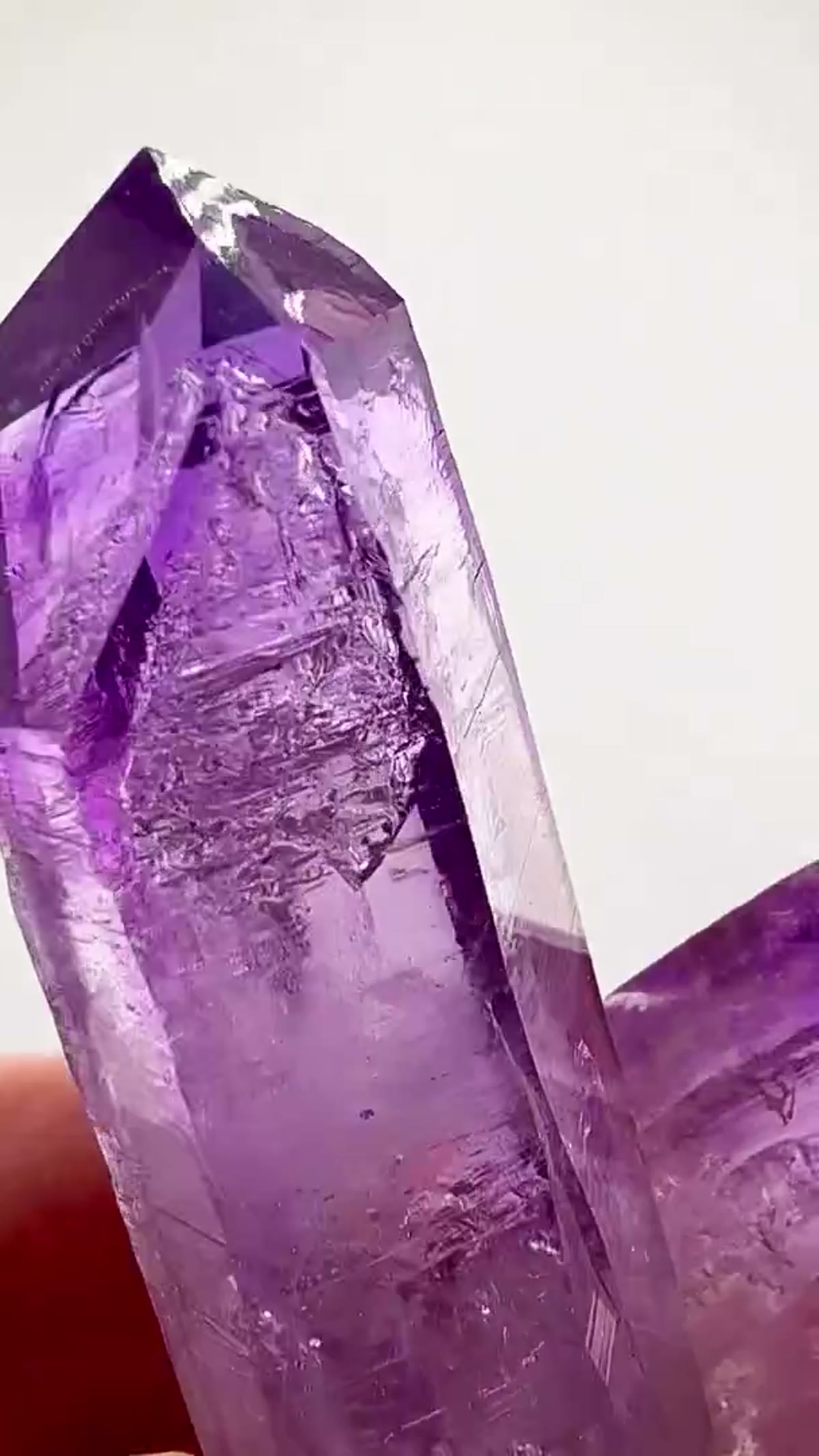 Amethyst Specimen from Mexico: Supersaturated perfection from Veracruz - view 3