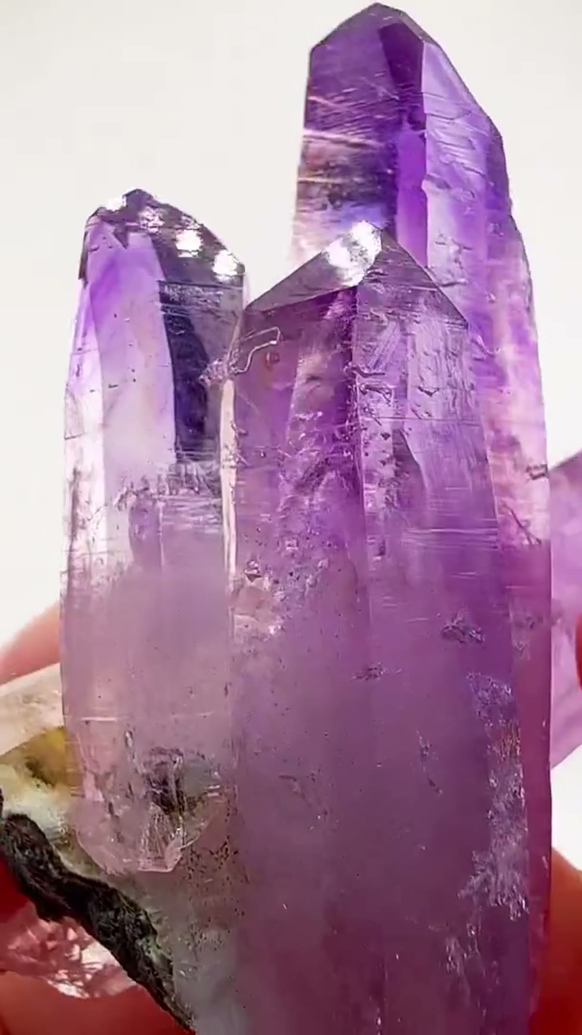 Amethyst Specimen from Mexico: Supersaturated perfection from Veracruz - view 4