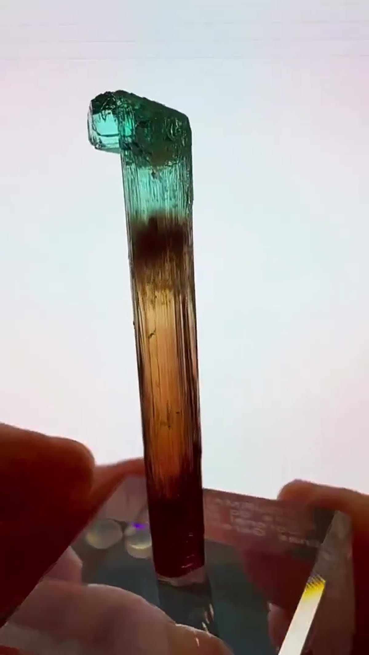 Elbaite Tourmaline Specimen from Minas Gerais, Brazil: A Scepter of Color - view 2