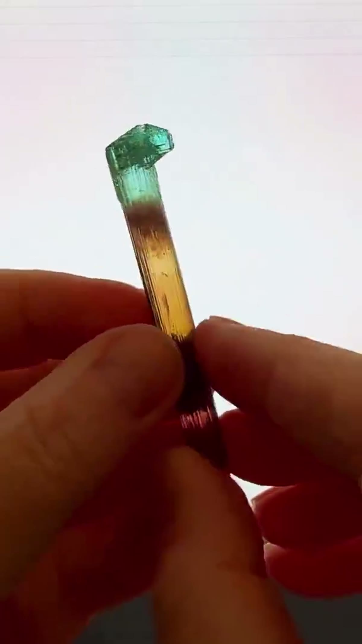 Elbaite Tourmaline Specimen from Minas Gerais, Brazil: A Scepter of Color - view 4