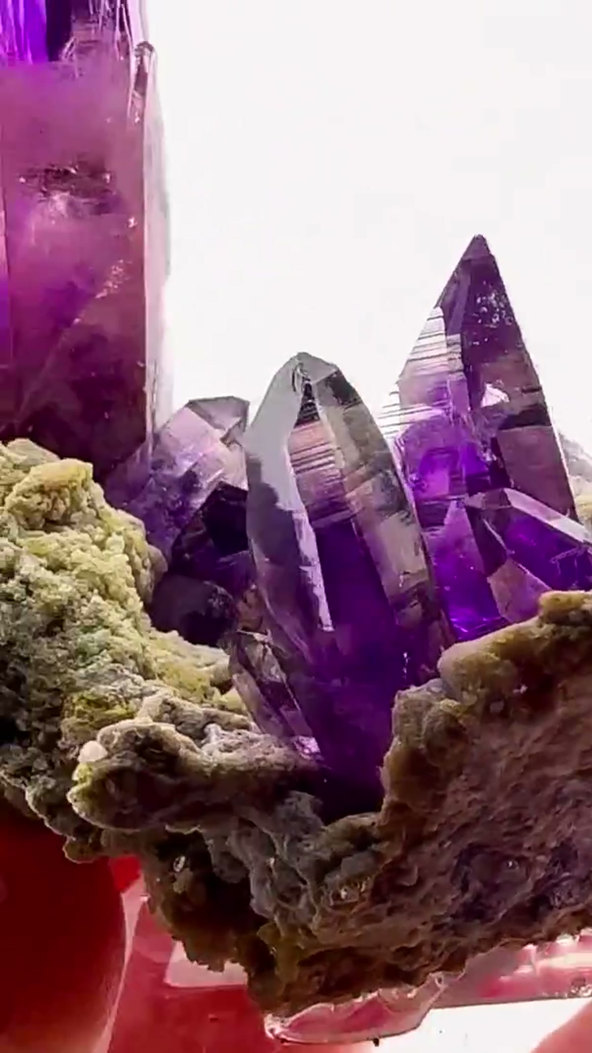 Amethyst Specimen from Mexico: Purple perfection rising from the matrix - view 2