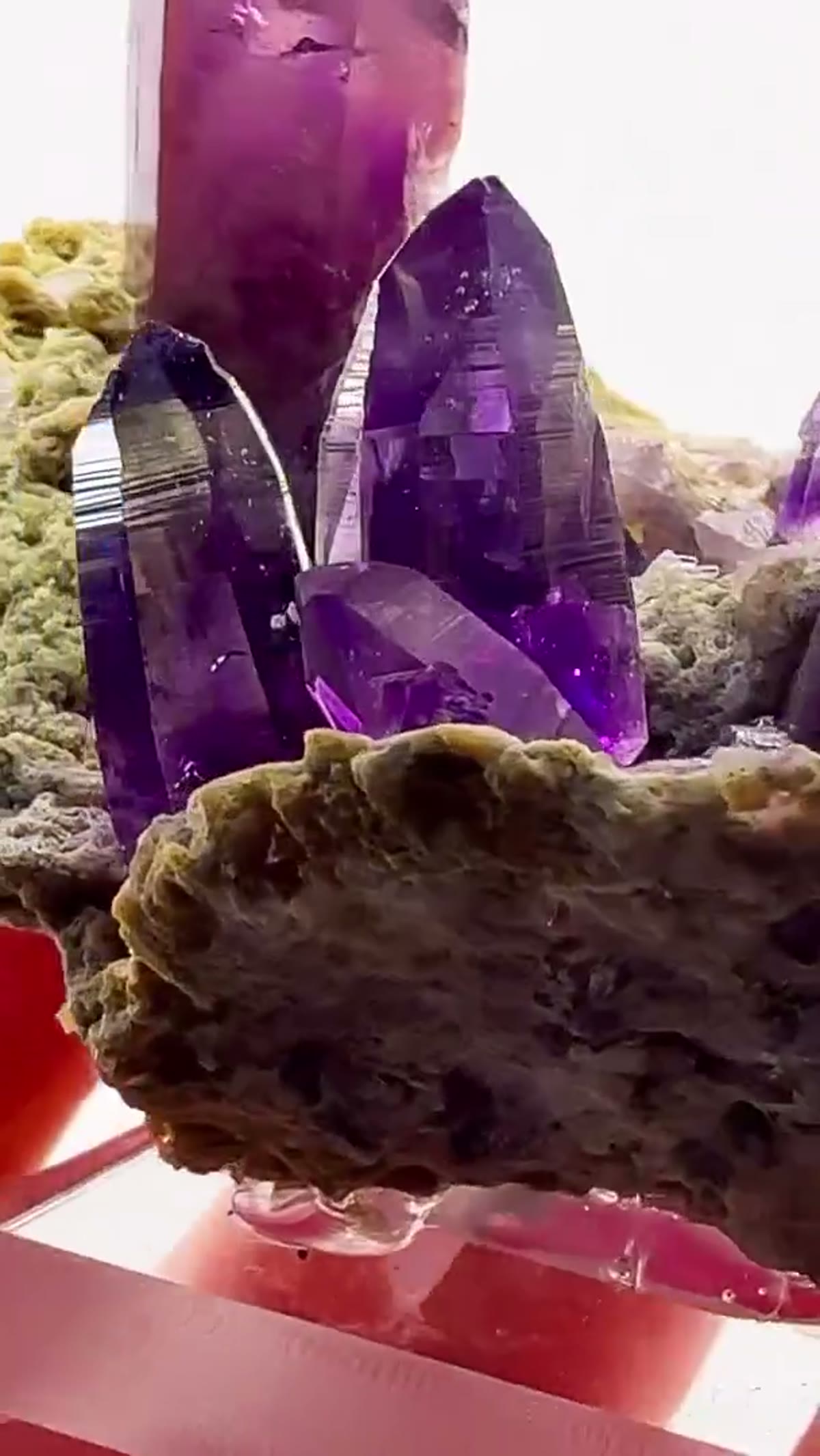 Amethyst Specimen from Mexico: Purple perfection rising from the matrix - view 3