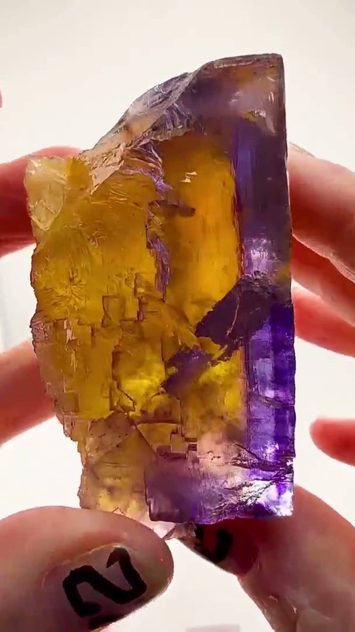 Fluorite Specimen from Denton Mine, Illinois: Golden Hour in Fluorite - view 2