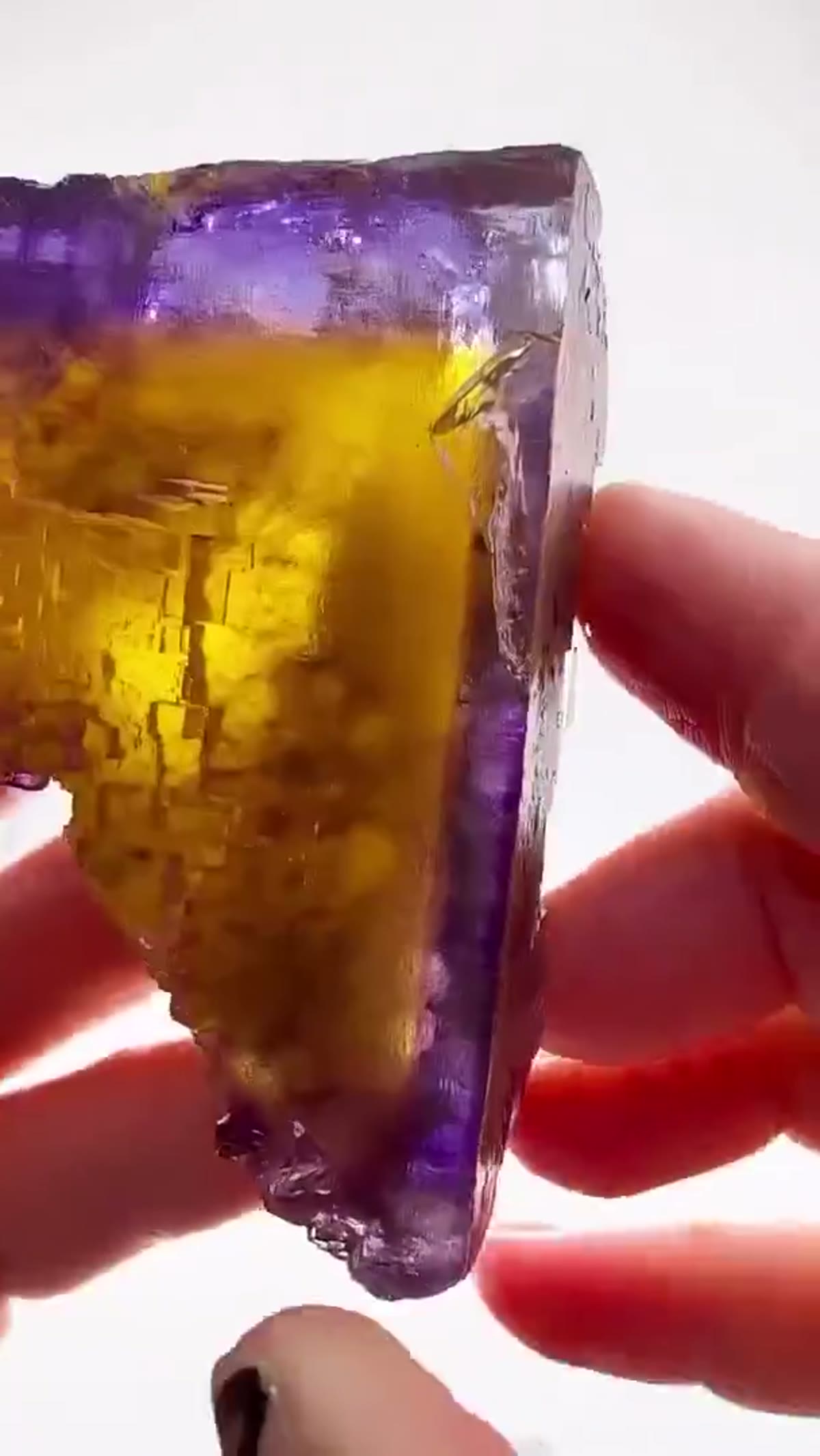 Fluorite Specimen from Denton Mine, Illinois: Golden Hour in Fluorite - view 3