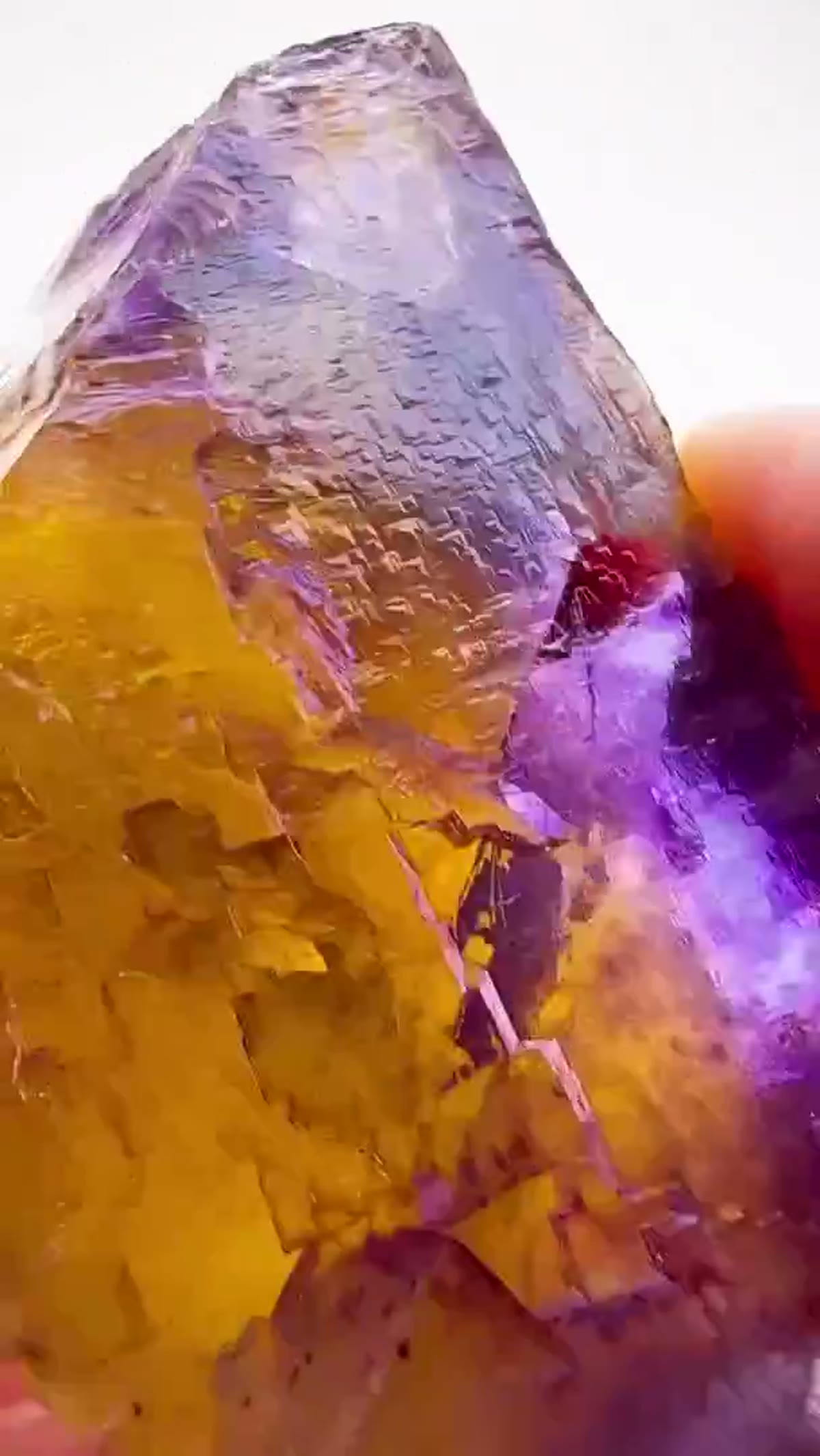 Fluorite Specimen from Denton Mine, Illinois: Golden Hour in Fluorite - view 4
