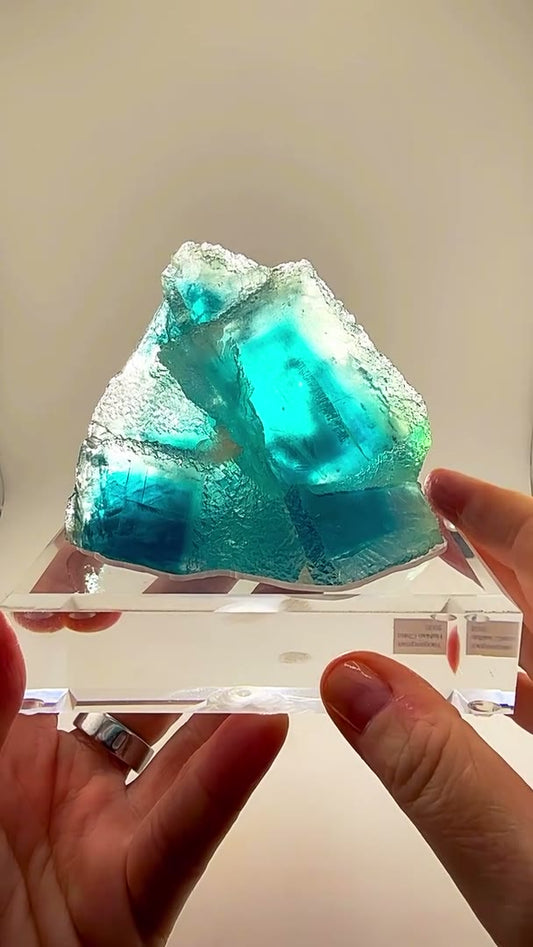 FROZEN BLUE PERFECTION