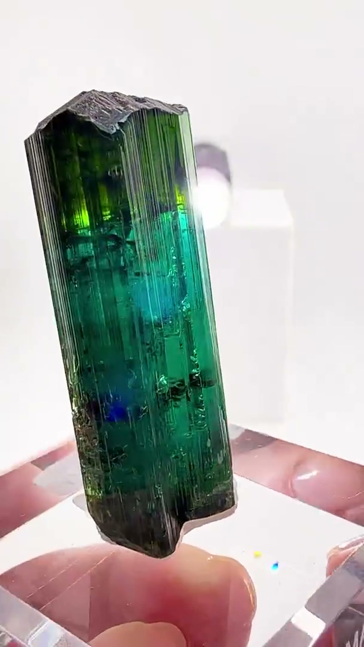 Elbaite Tourmaline Specimen from Minas Gerais, Brazil: A window into the heart of a tourmaline - view 2