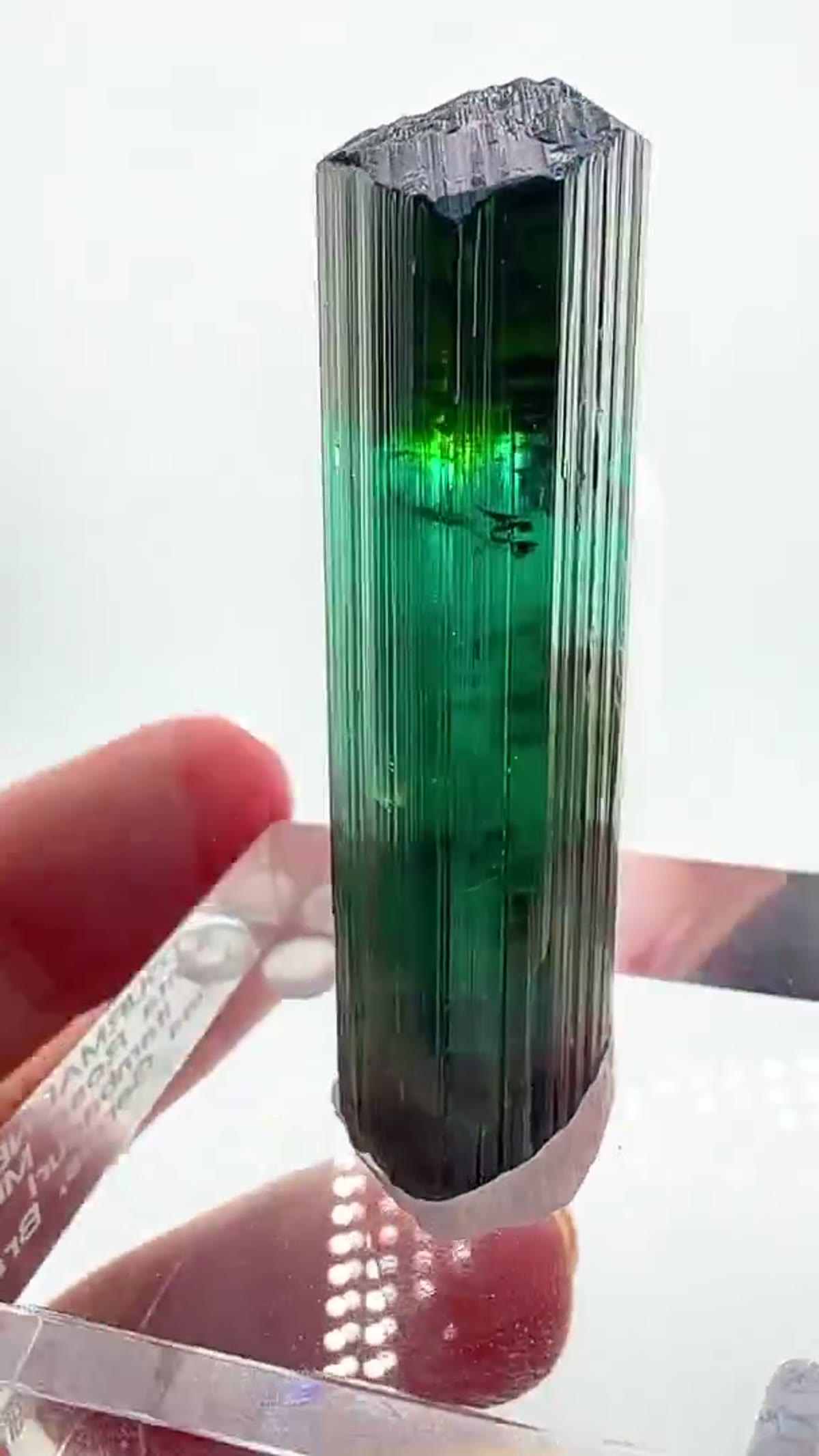 Elbaite Tourmaline Specimen from Minas Gerais, Brazil: A window into the heart of a tourmaline - view 3