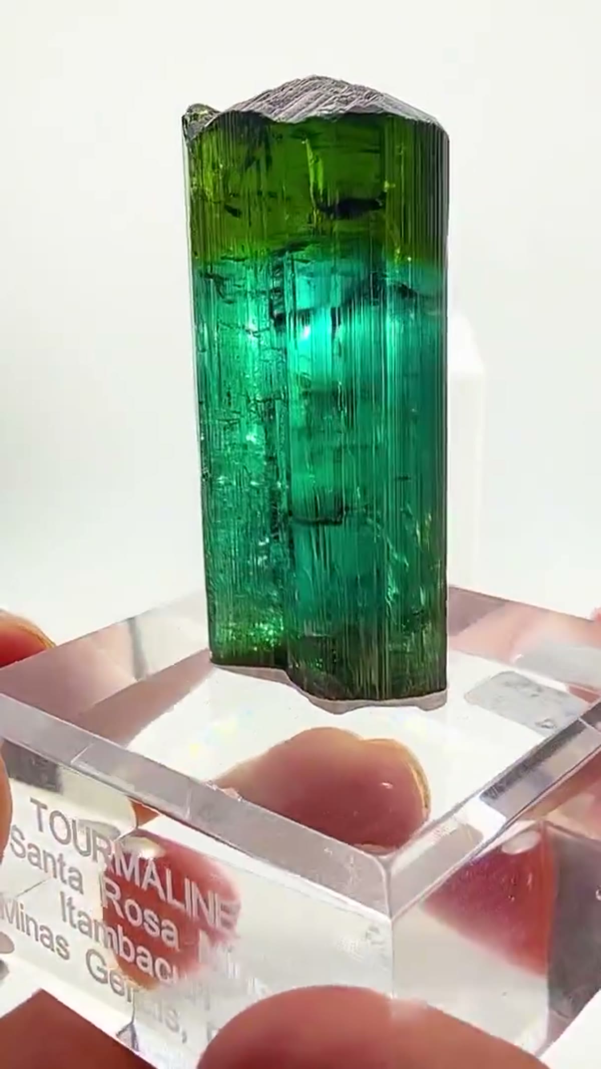 Elbaite Tourmaline Specimen from Minas Gerais, Brazil: A window into the heart of a tourmaline - view 4