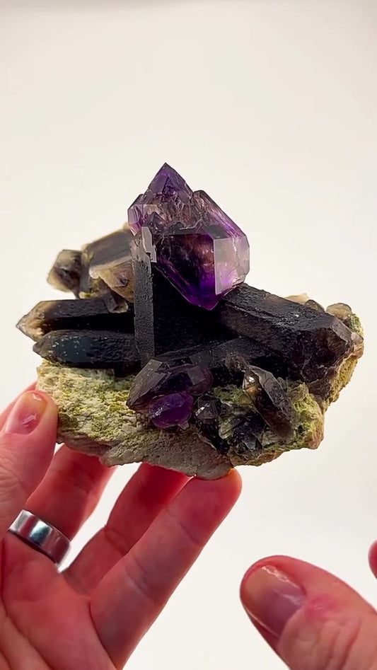 Some specimens don’t need a story—they speak for themselves