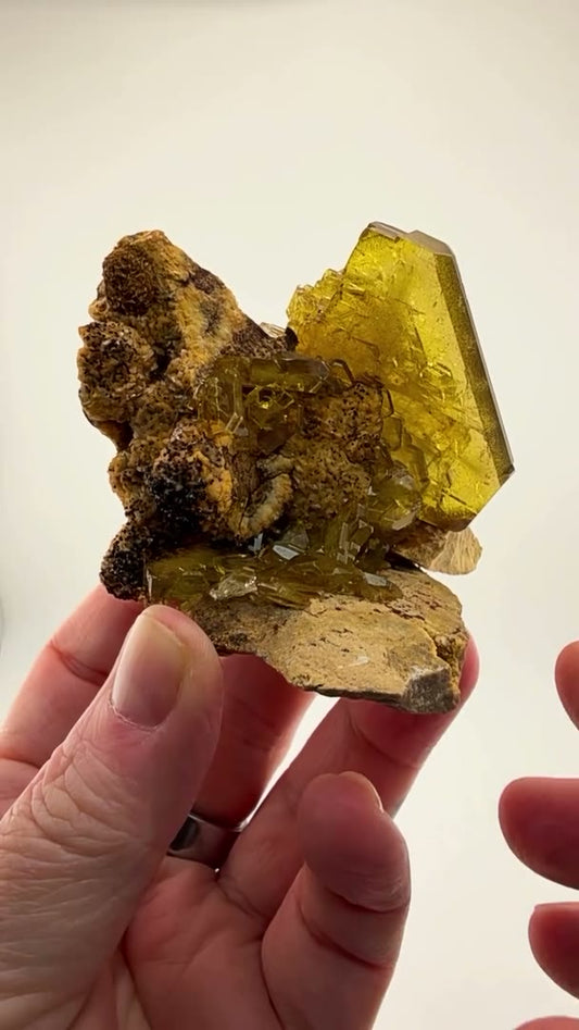 Golden geometry sculpted by nature