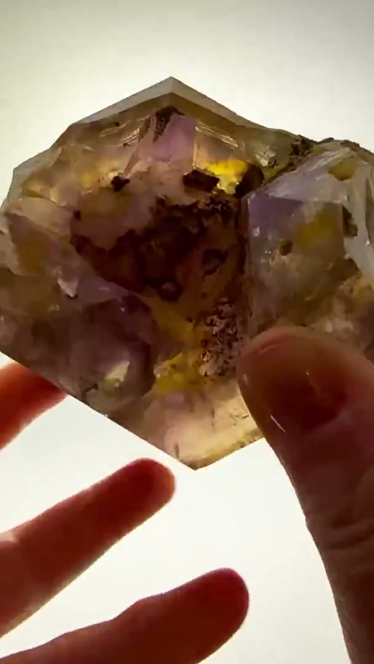 Amethyst Specimen from Goboboseb Mountains, Namibia: A Giant of the Three Trees - view 3