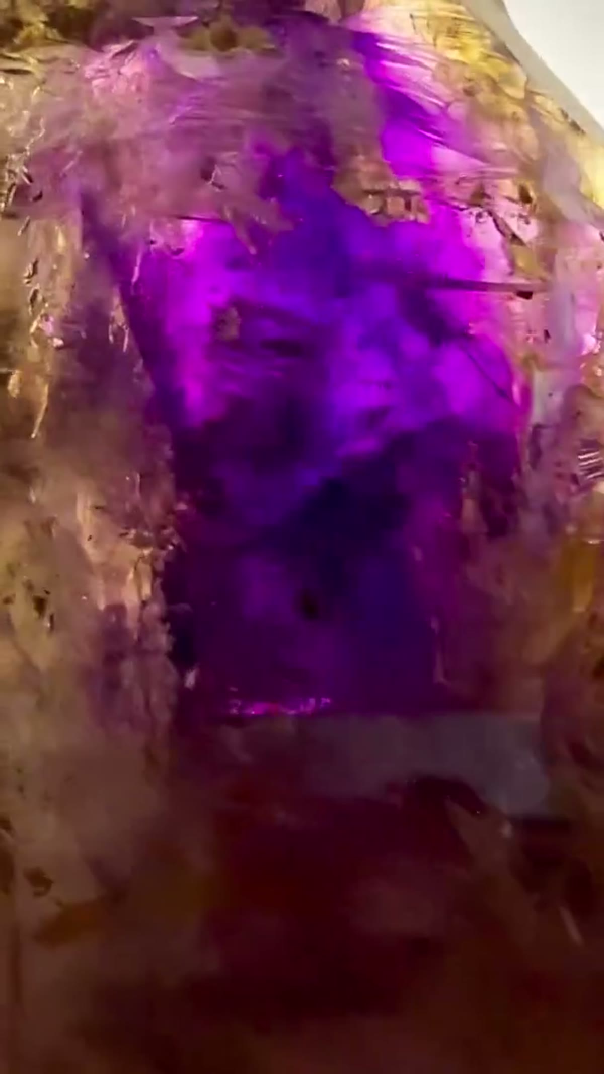 Amethyst Specimen from Goboboseb Mountains, Namibia: A Giant of the Three Trees - view 4