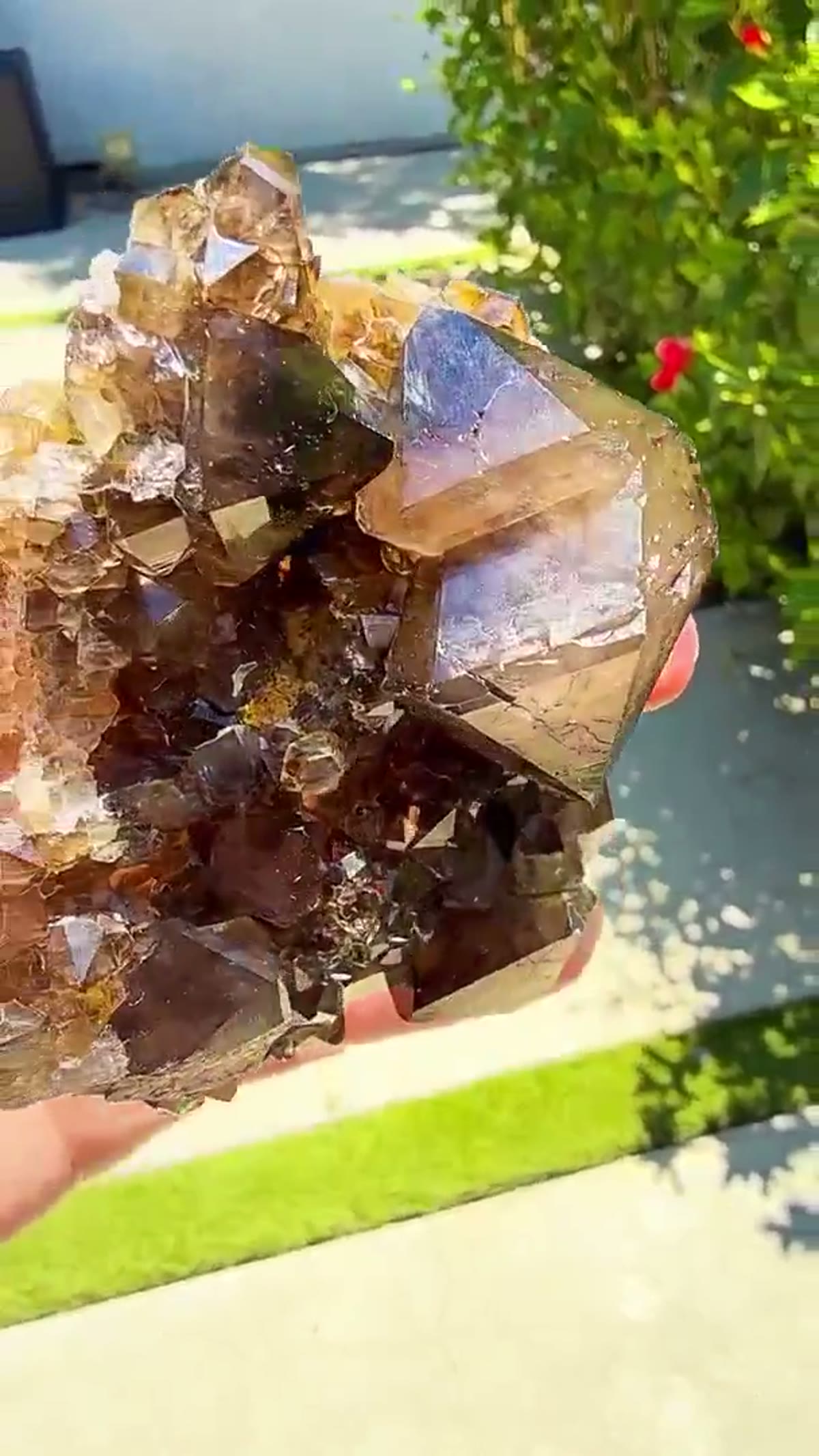 Smoky Quartz Specimen: Australian smoky quartz differently in the sunlight - view 2