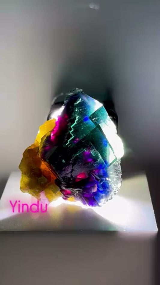 Yindu Fluorite w insane color zoning