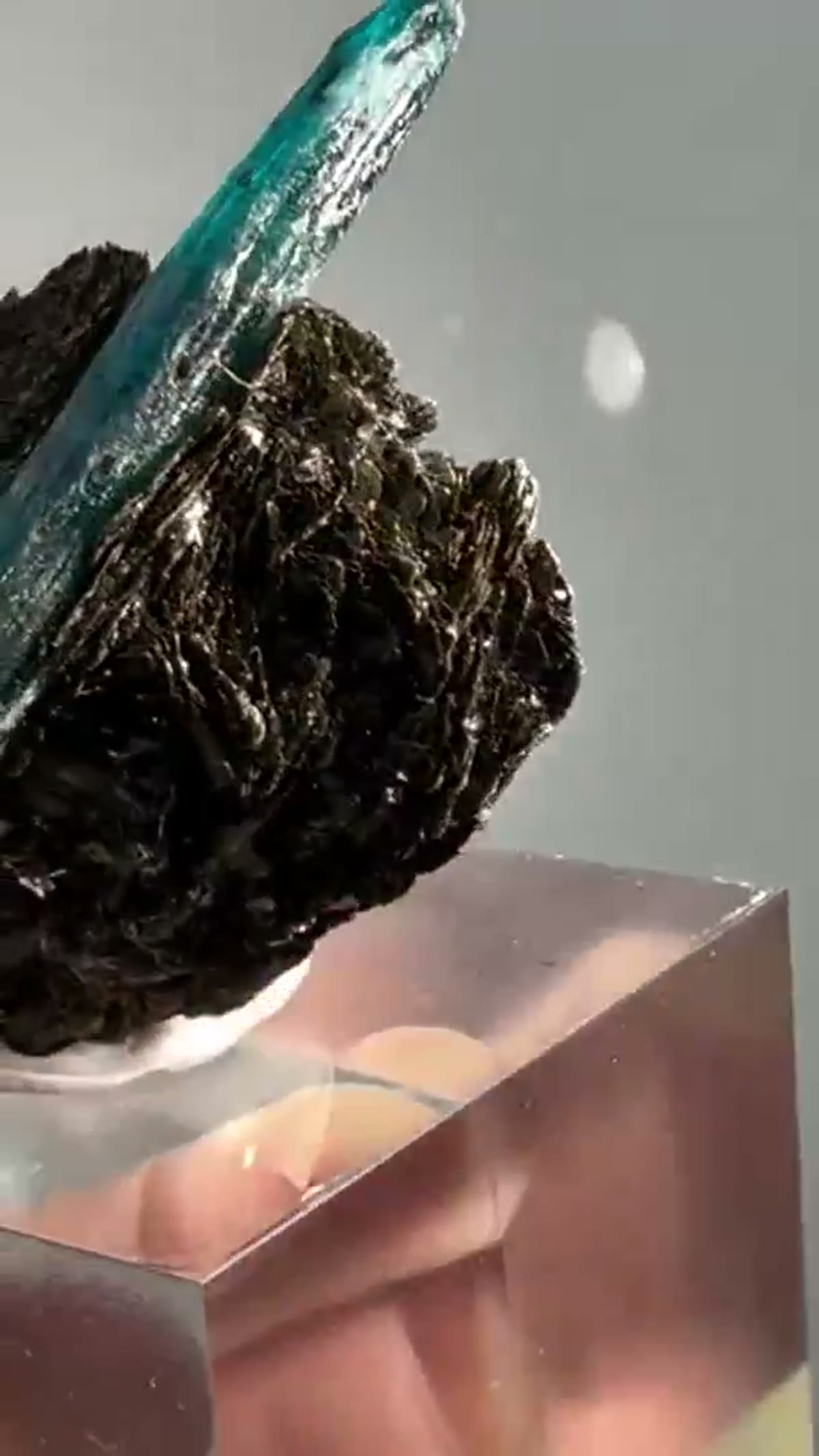 Kyanite Specimen: Ocean kyanite, a vibrant teal-colored variety of kyanite - view 2