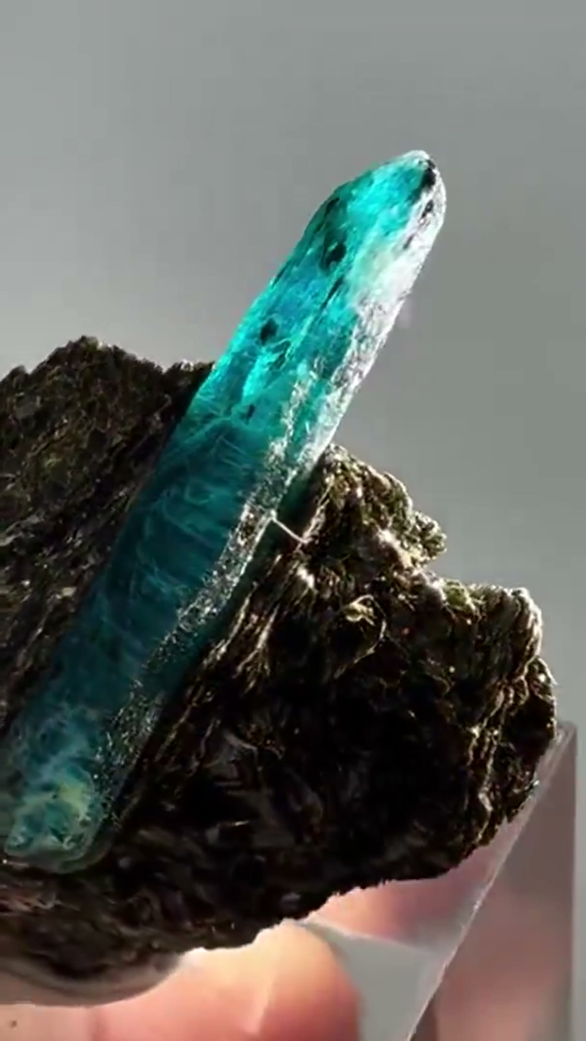 Kyanite Specimen: Ocean kyanite, a vibrant teal-colored variety of kyanite - view 3