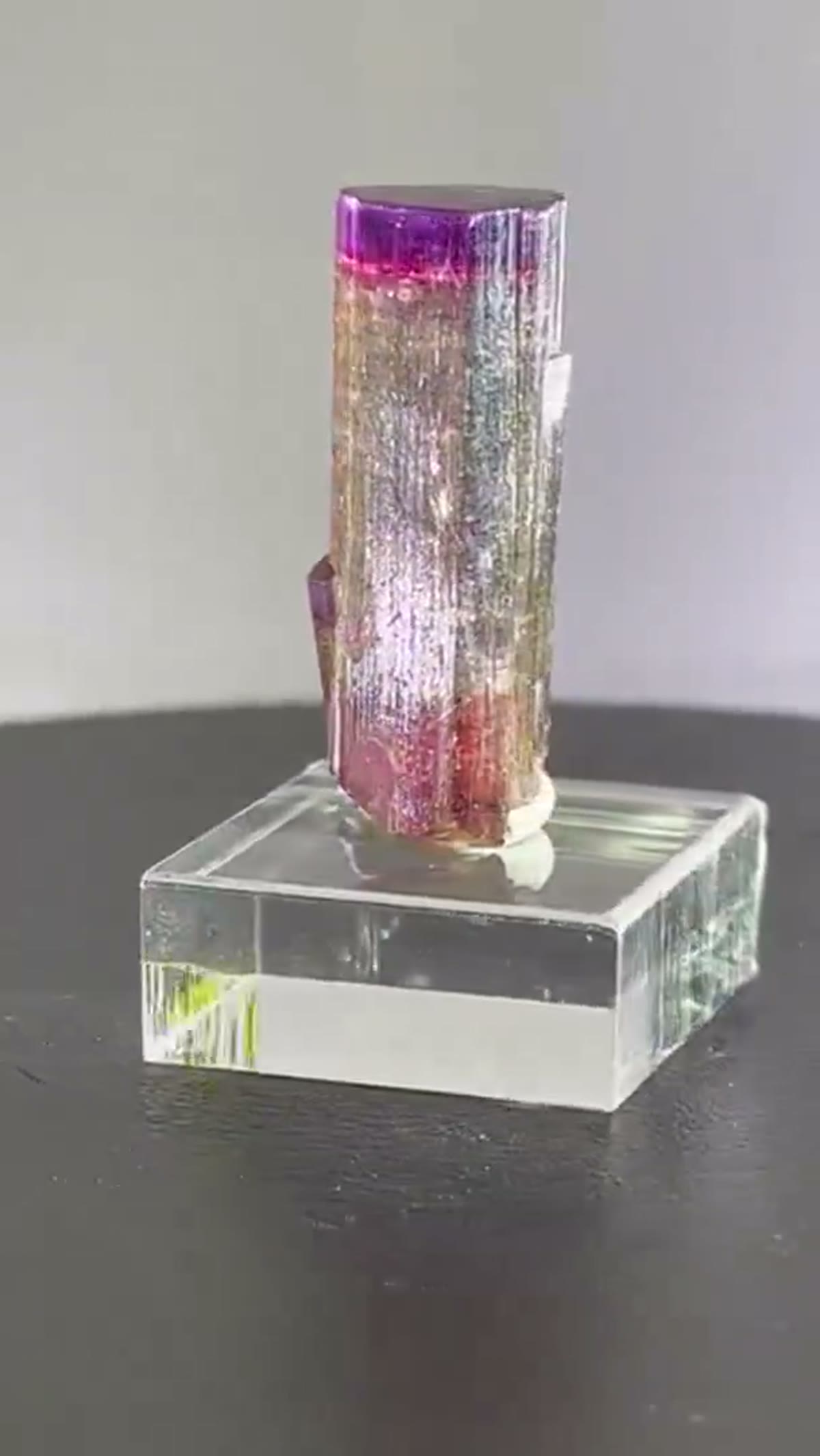Elbaite Tourmaline Specimen from Paprok, Afghanistan: NFS What a beauty Paprok Tourmaline - view 2