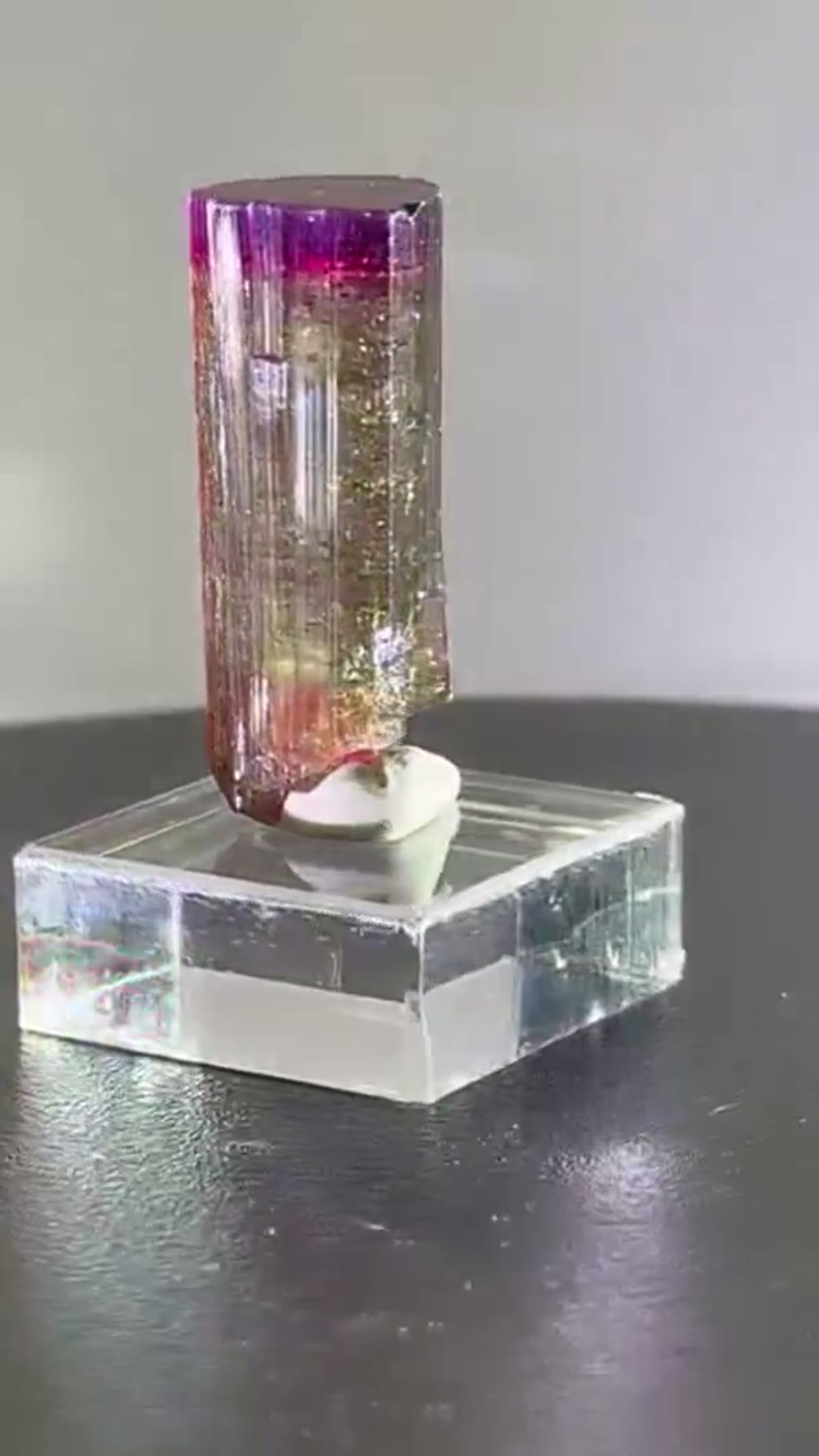 Elbaite Tourmaline Specimen from Paprok, Afghanistan: NFS What a beauty Paprok Tourmaline - view 3