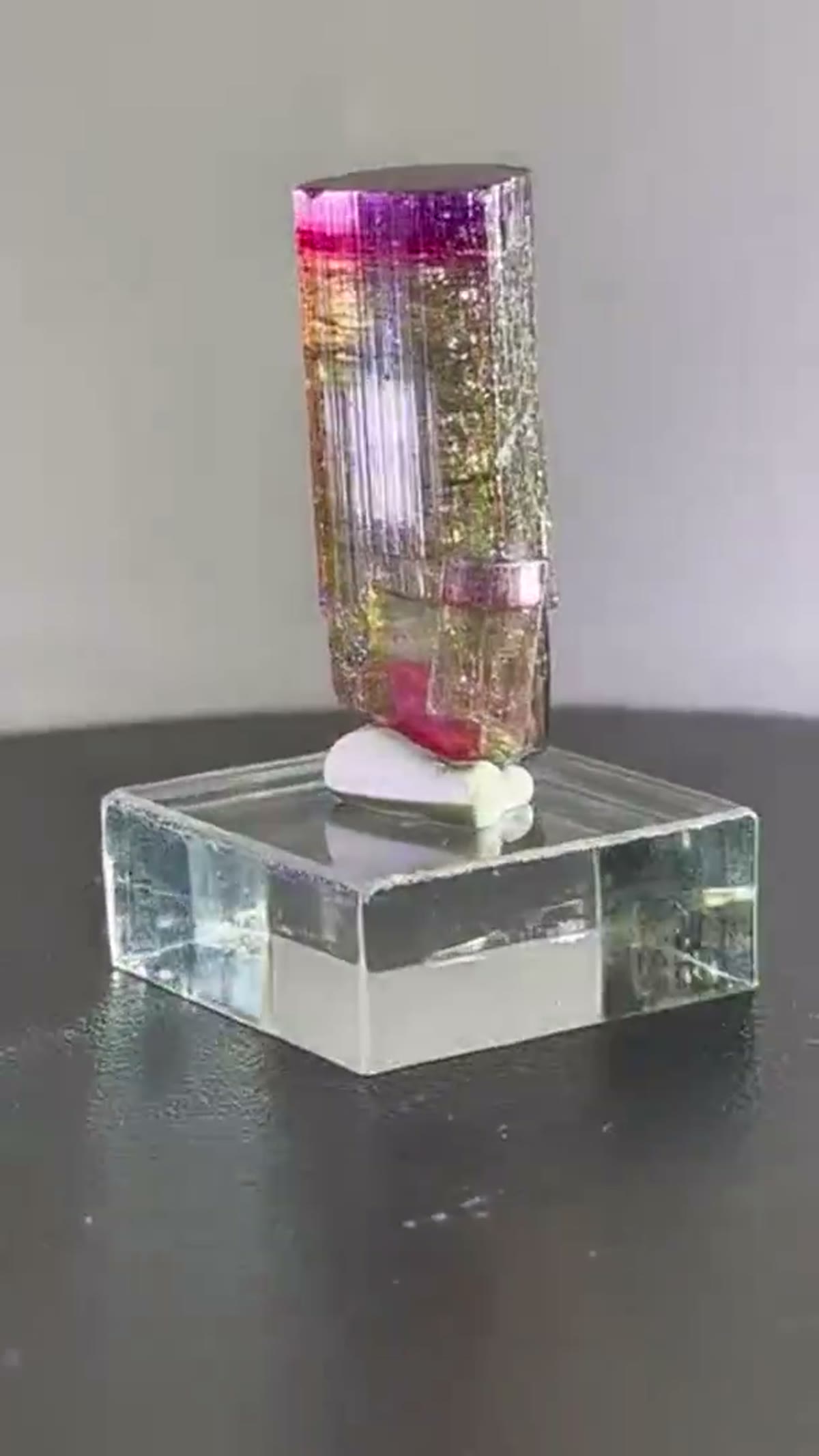 Elbaite Tourmaline Specimen from Paprok, Afghanistan: NFS What a beauty Paprok Tourmaline - view 4