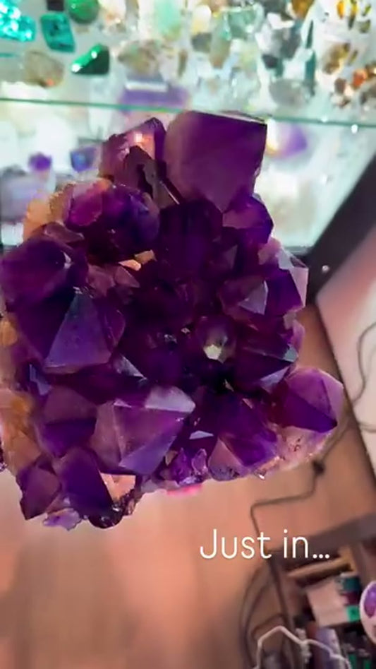 (NFS) Absolutely stunning Large Amethyst Cluster 7kg+ from Mindouli, The…
