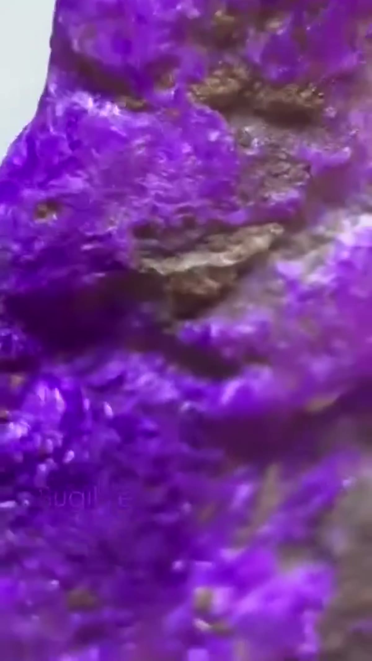 Mineral Specimen: Sugilite is a purple, pink, or occasionally colorless - view 3