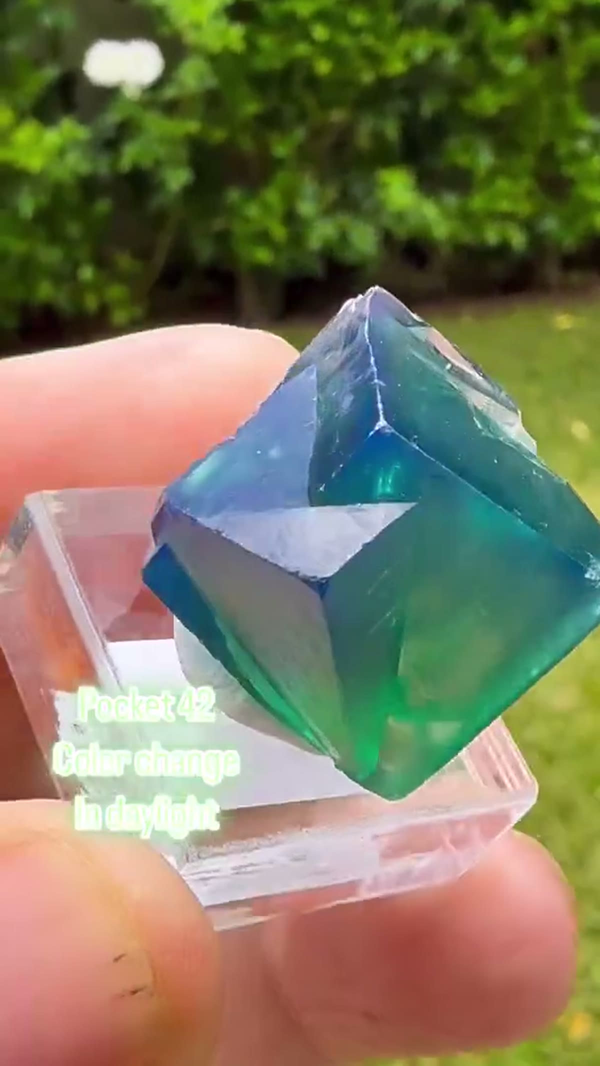 Fluorite Specimen: Pocket 42 Fluorite - view 3