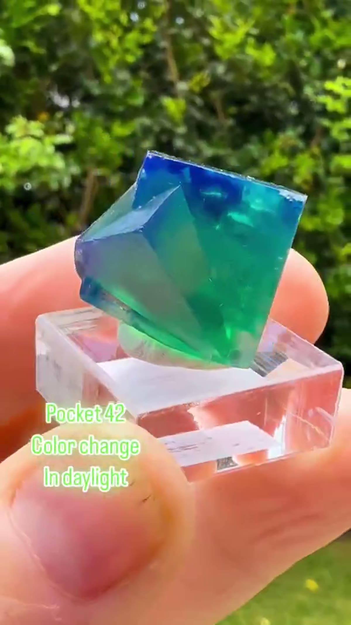 Fluorite Specimen: Pocket 42 Fluorite - view 4