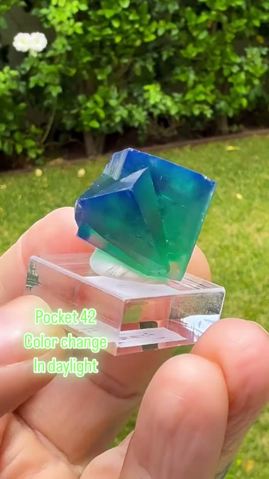 Pocket 42 Fluorite