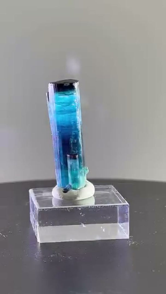 What a beauty… Dara e Pech, Kunar, Afghanistan Tourmaline