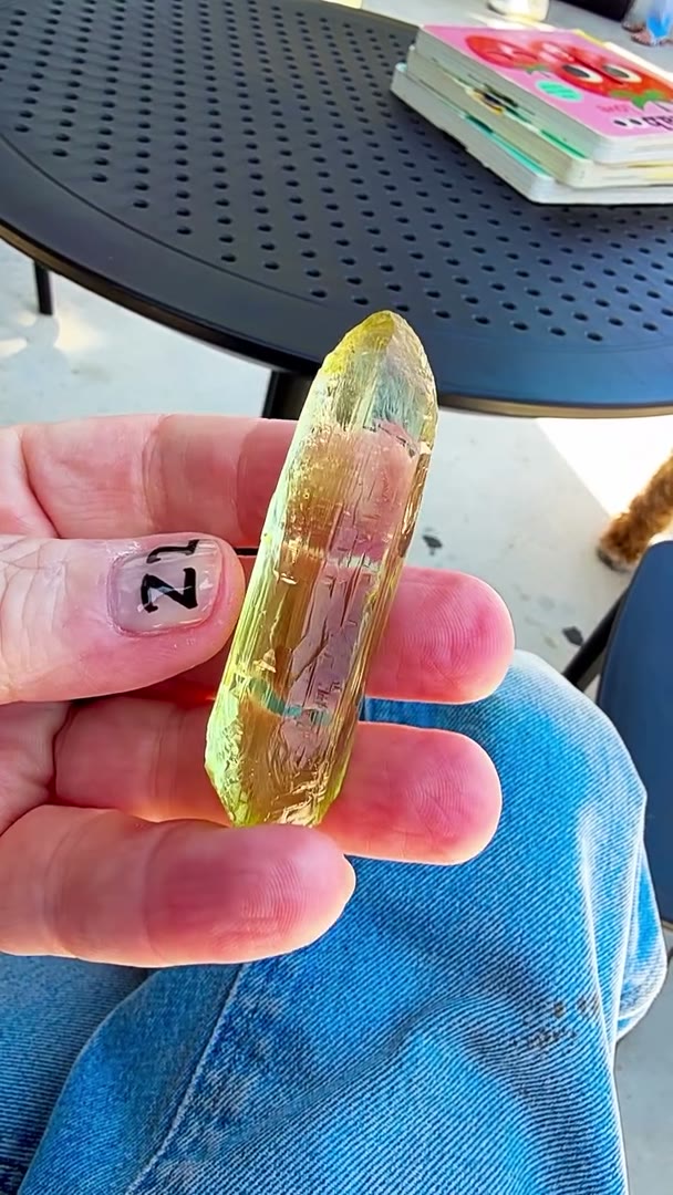 A perfect bullet from nature