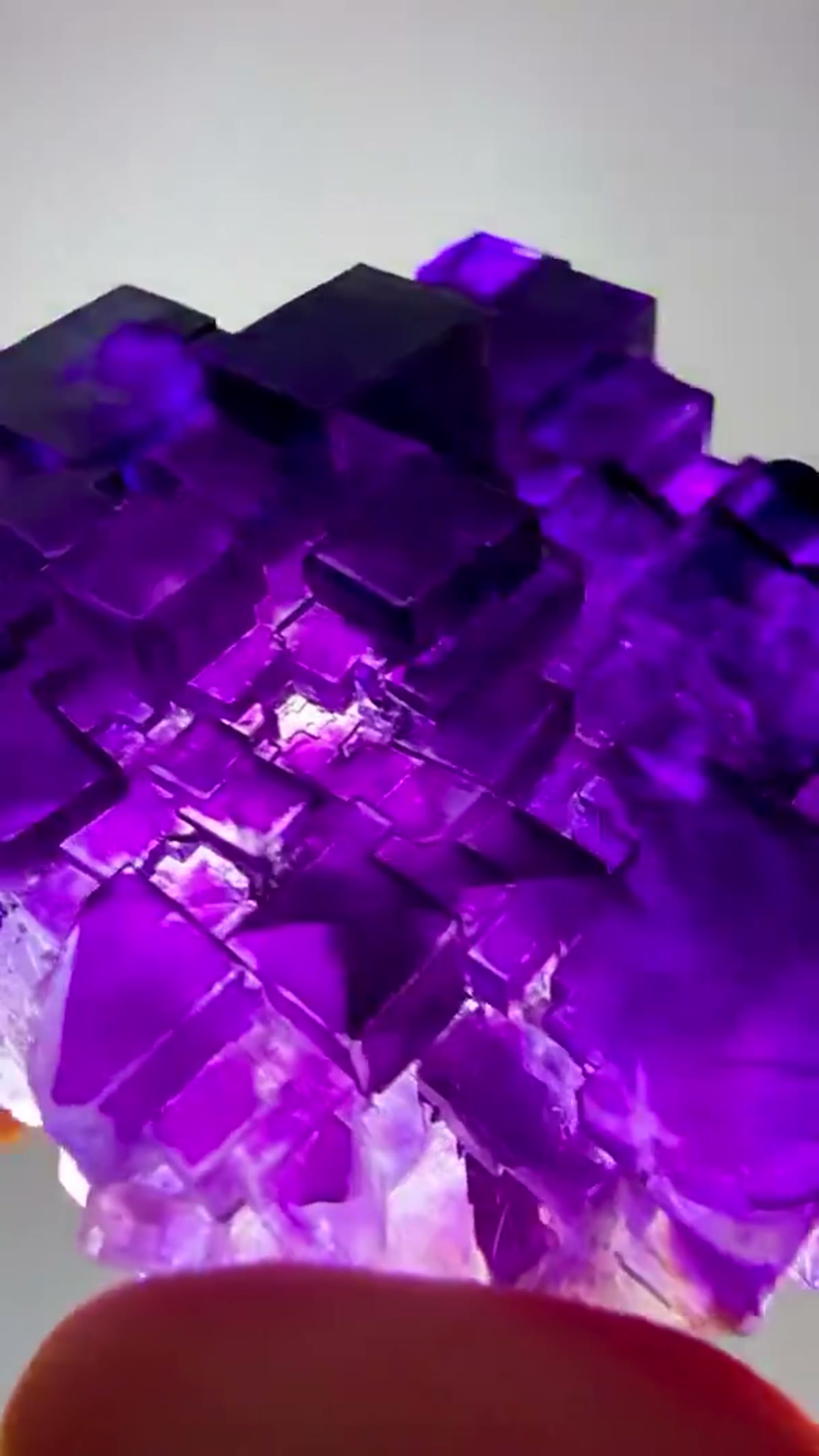 Fluorite Specimen from China: Xinjiang Purple Perfection - view 2