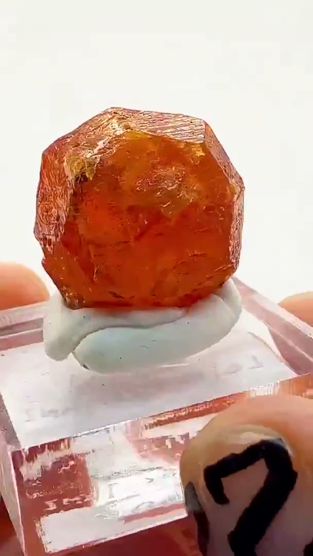Garnet Specimen from Tanzania: Loliondo - view 2