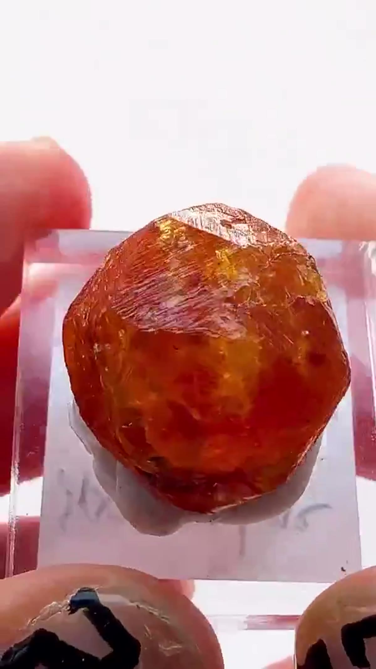 Garnet Specimen from Tanzania: Loliondo - view 3
