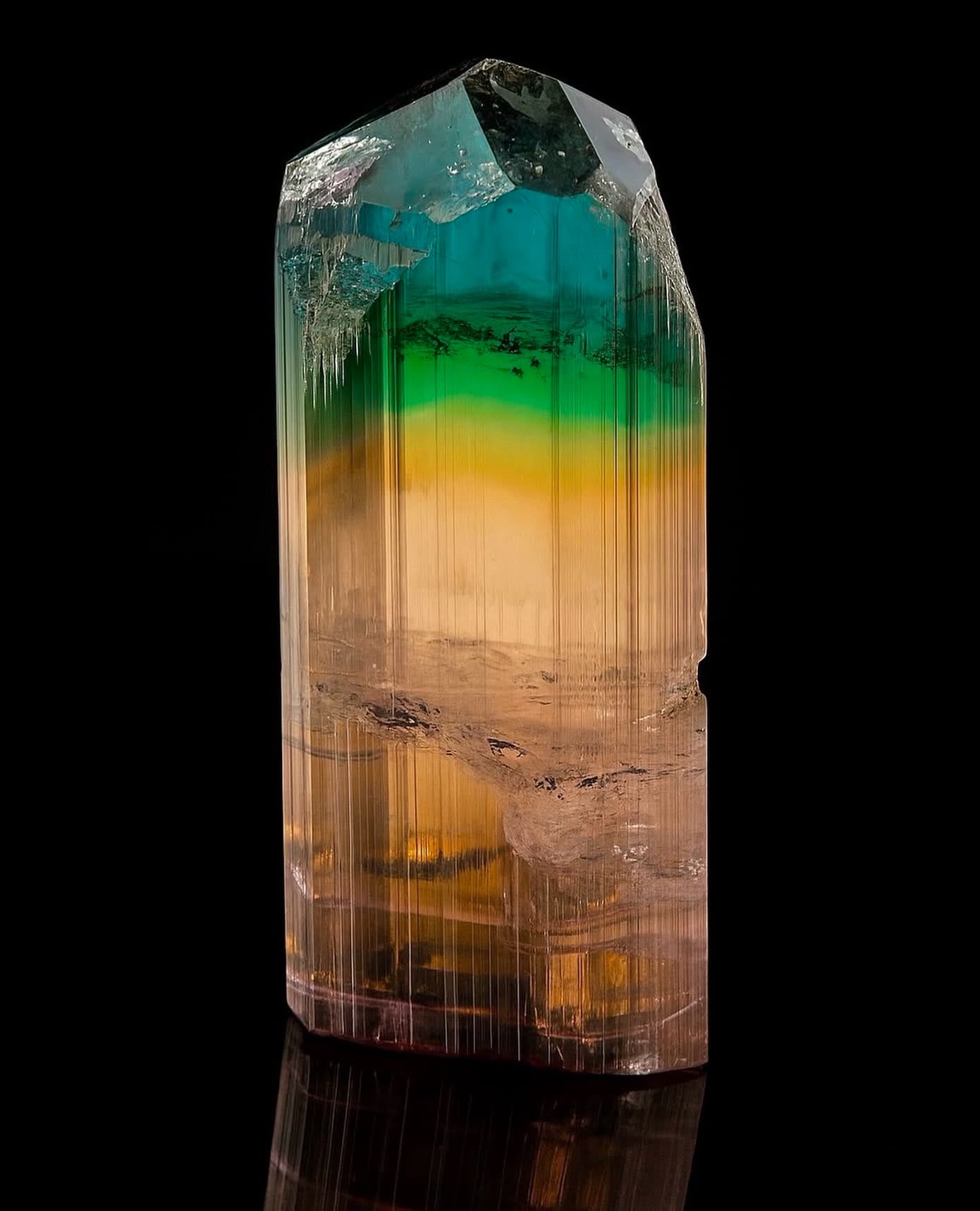 Nature painted this one with a full spectrum
