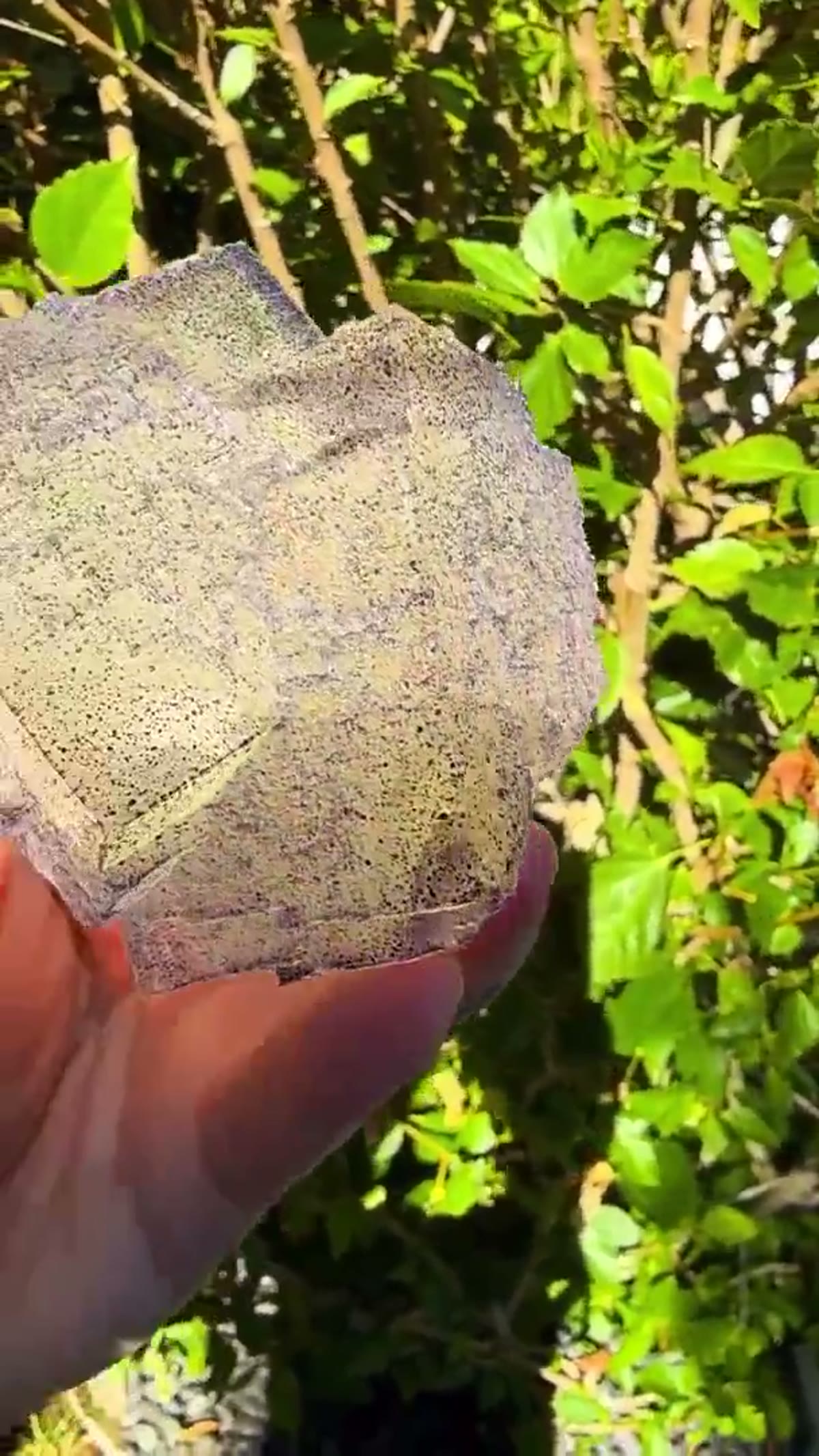 Fluorite Specimen from Elmwood Mine, Tennessee: Elmwood Perfection - view 2