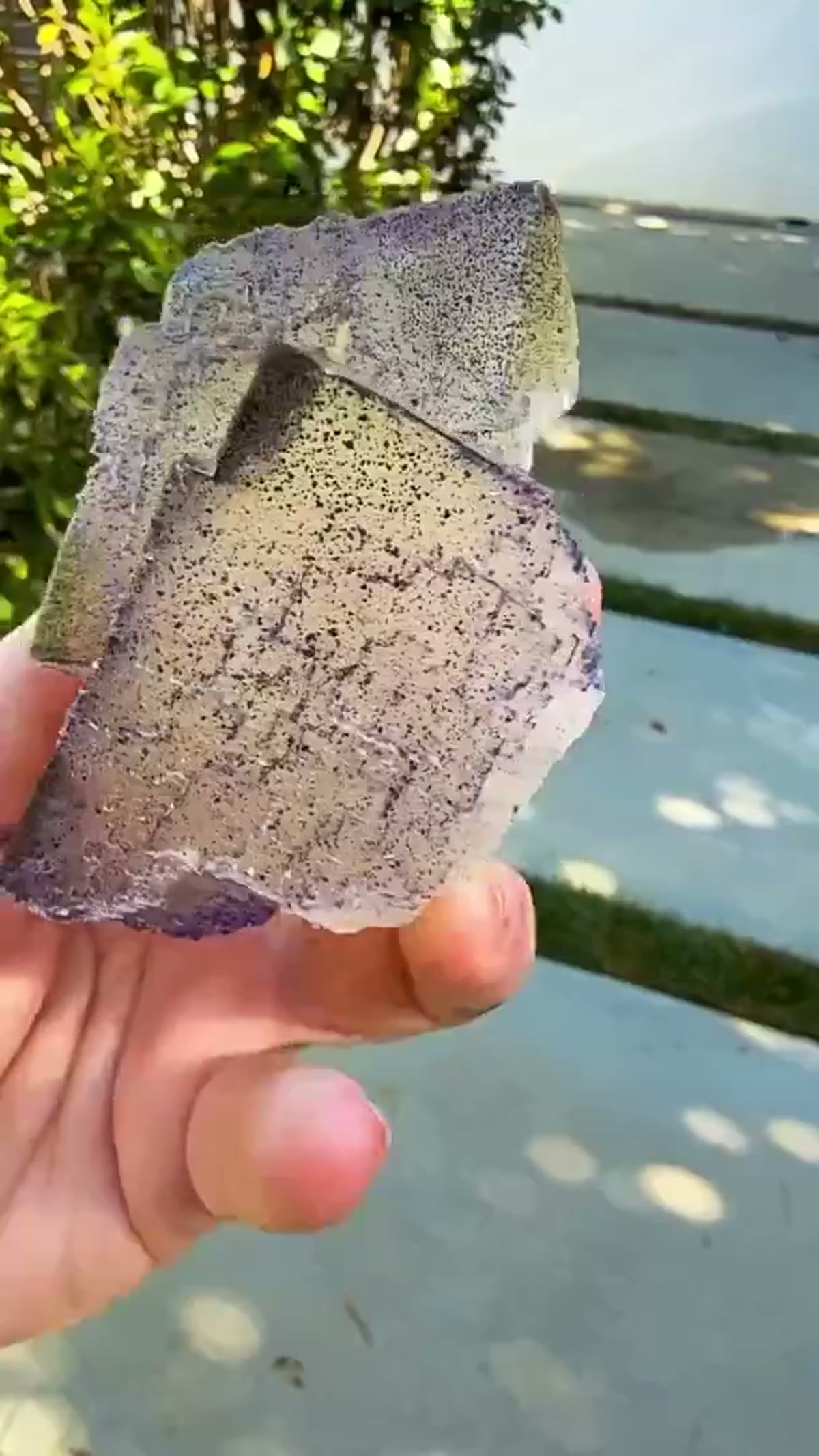 Fluorite Specimen from Elmwood Mine, Tennessee: Elmwood Perfection - view 3