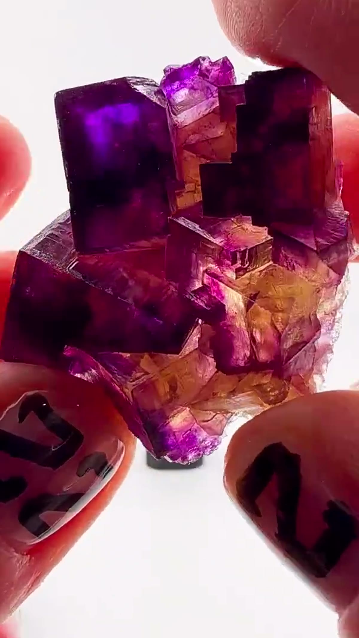 Fluorite Specimen from Minerva No. 1 Mine, Illinois: A tiny masterpiece from one of the most legendary fluorite - view 4