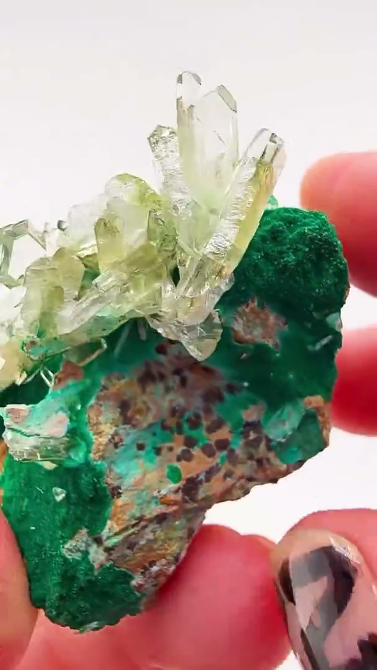 Malachite Specimen: Straight from the legendary Glass Pocket, this Shangulowe - view 2
