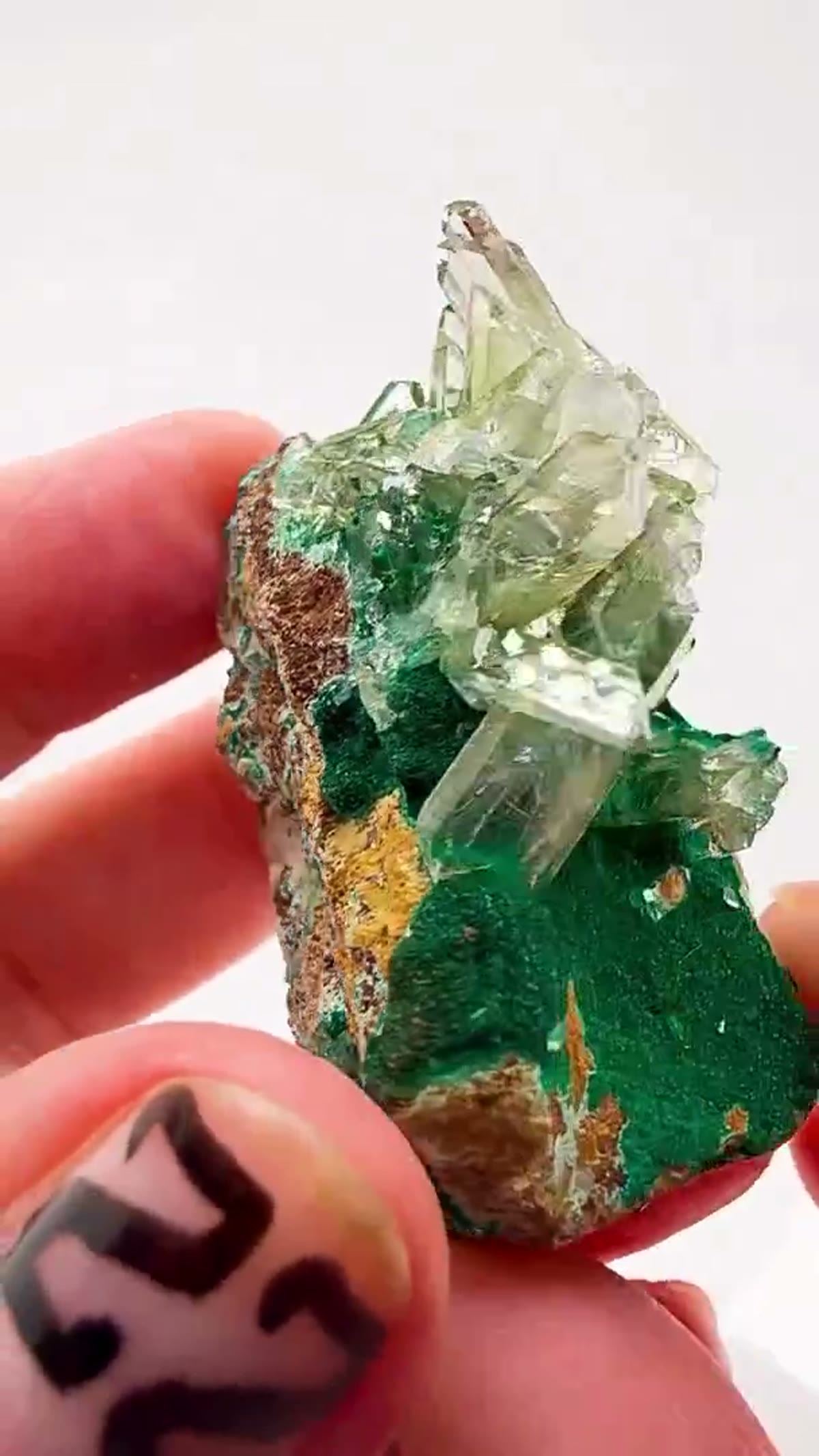 Malachite Specimen: Straight from the legendary Glass Pocket, this Shangulowe - view 3