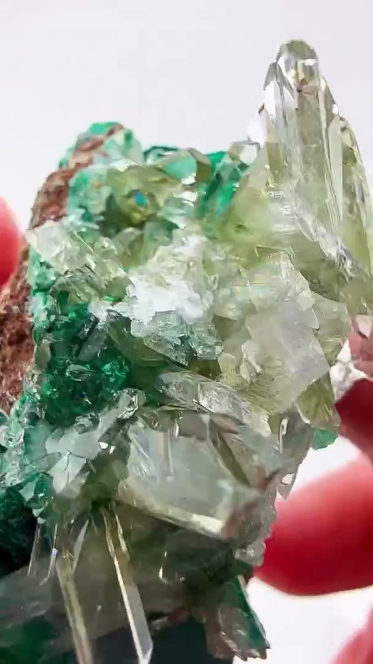 Malachite Specimen: Straight from the legendary Glass Pocket, this Shangulowe - view 4