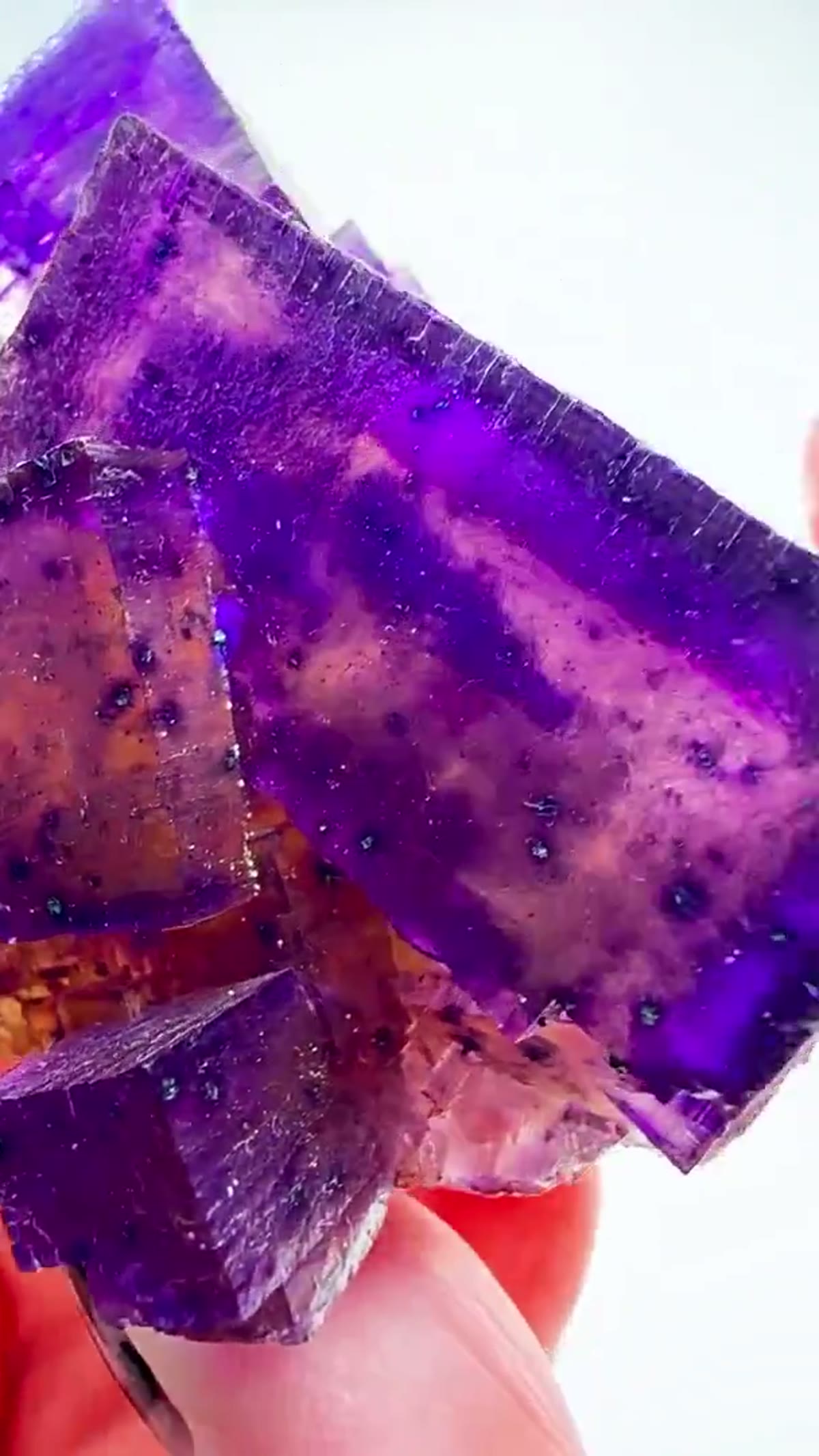 Fluorite Specimen from Denton Mine, Illinois: Illinois fluorite at its finest - view 4