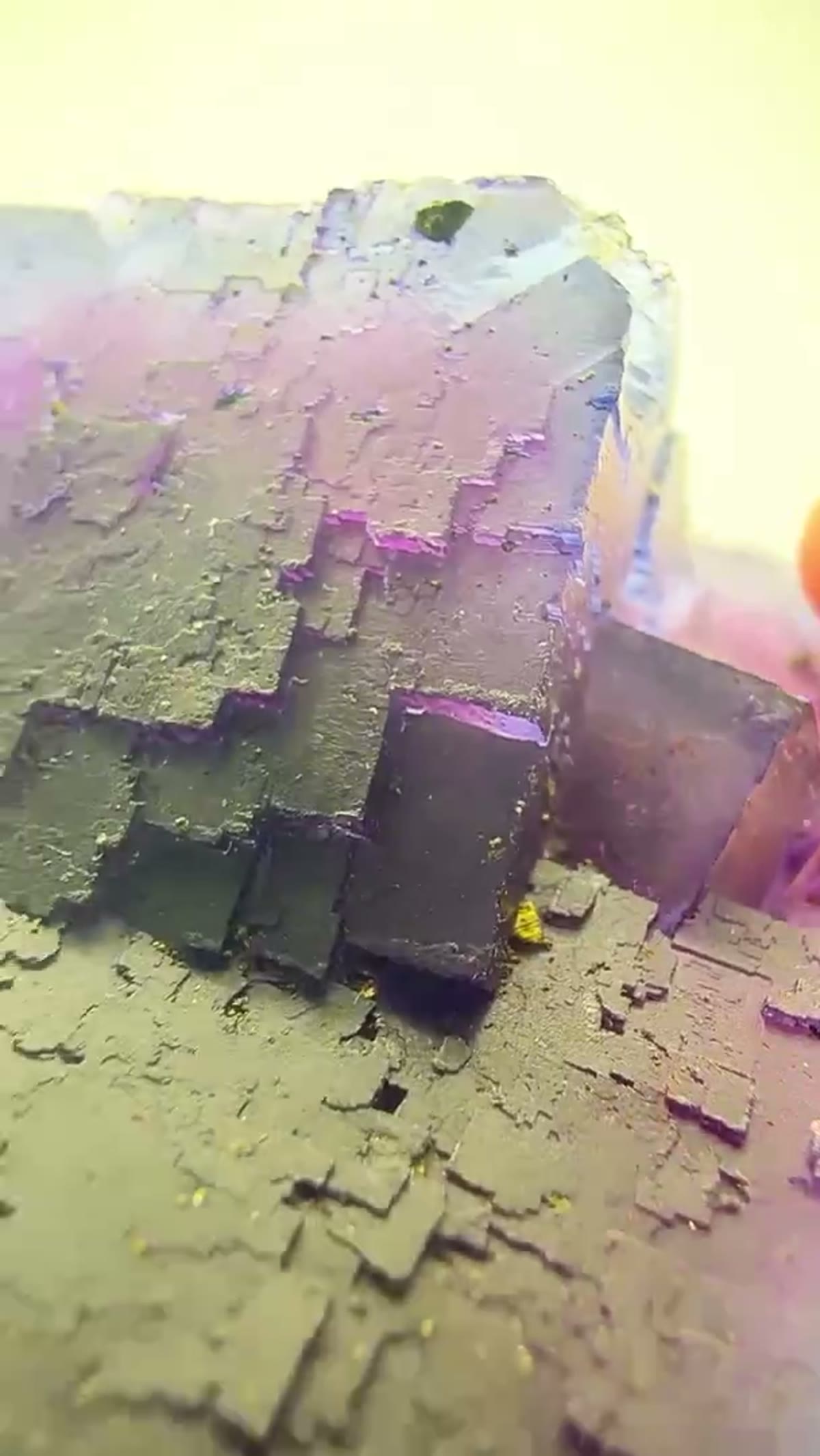 Fluorite Specimen from Illinois, USA: Illinois blurple at its finest - view 4