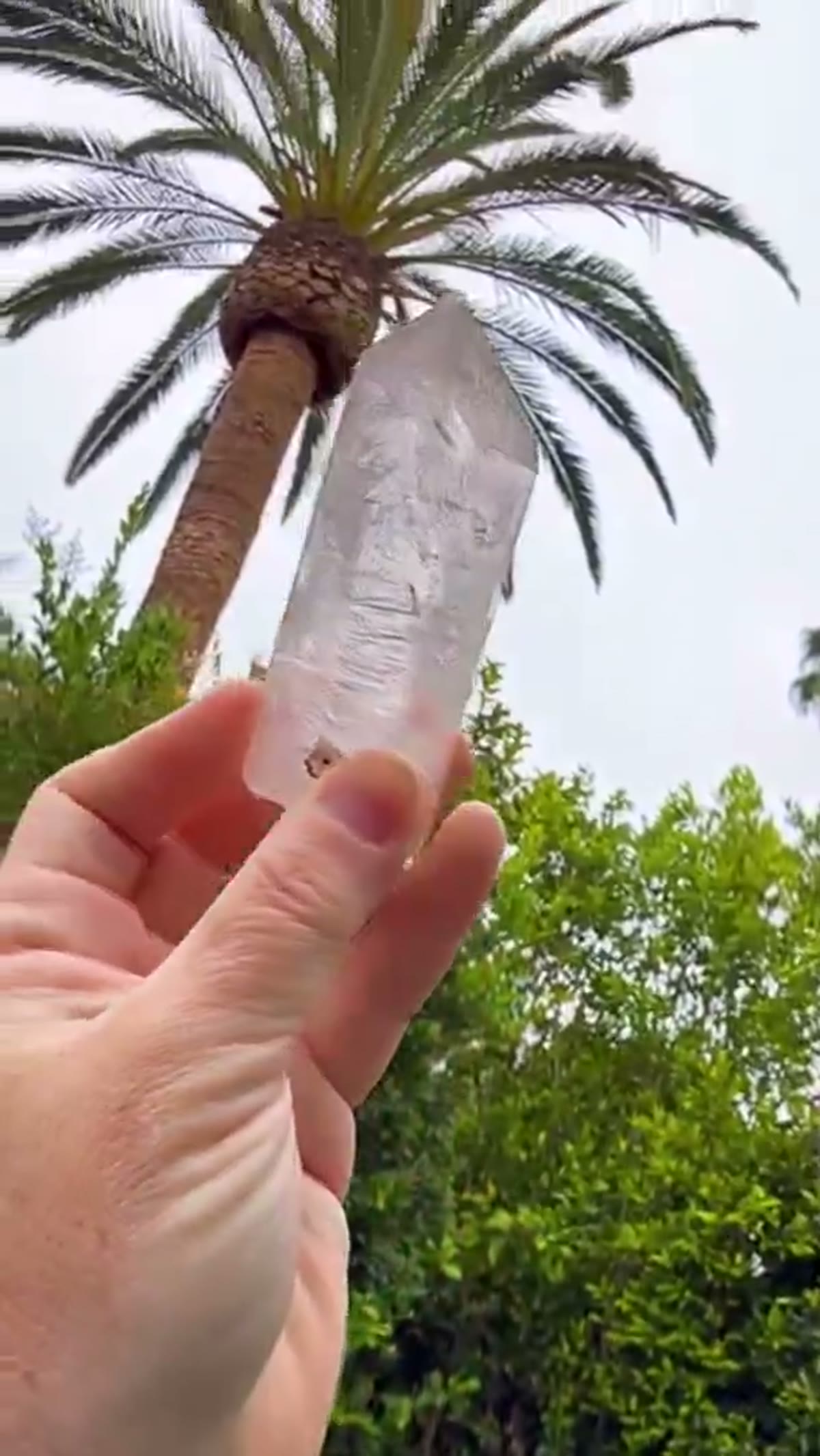 Quartz Specimen from Namibia: Valentine Pocket w Large Enhydro Namibia (available) - view 3