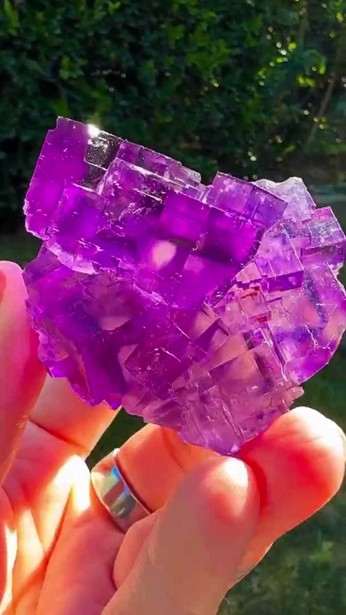 Fluorite Specimen from Hardin County, Illinois: Electric Glassy grape perfection - view 2