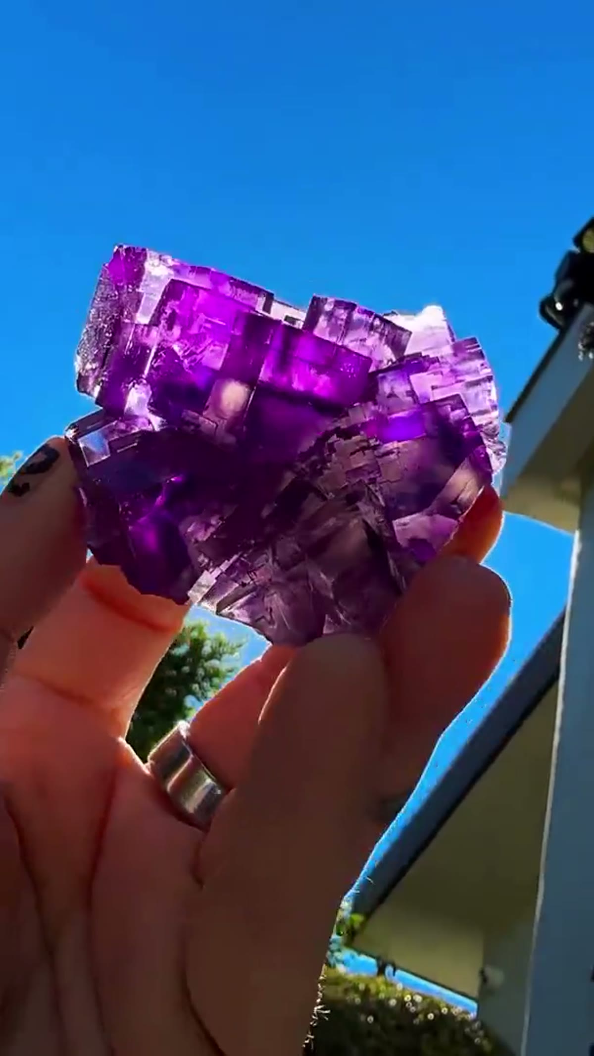 Fluorite Specimen from Hardin County, Illinois: Electric Glassy grape perfection - view 3